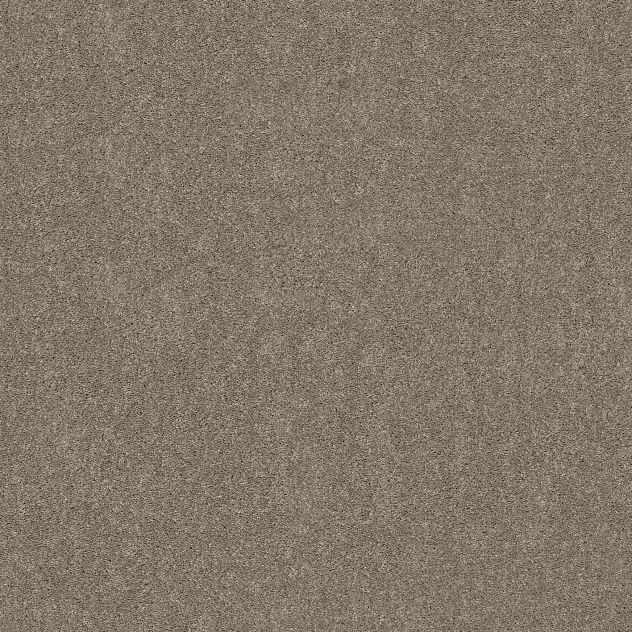 Fearless Tonal-Studio Loft-PZ152_00722