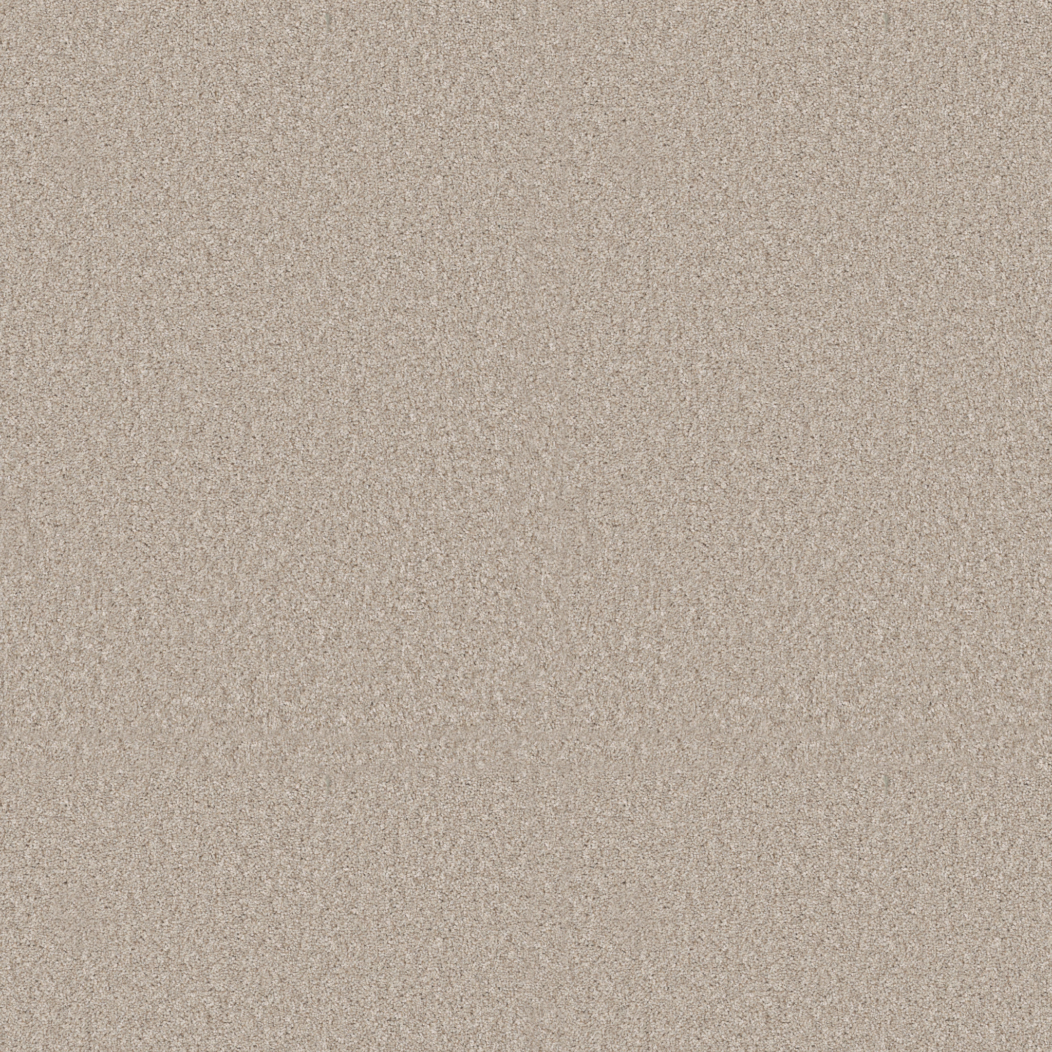 Conquest Tweed-Silence-PZ153_00137