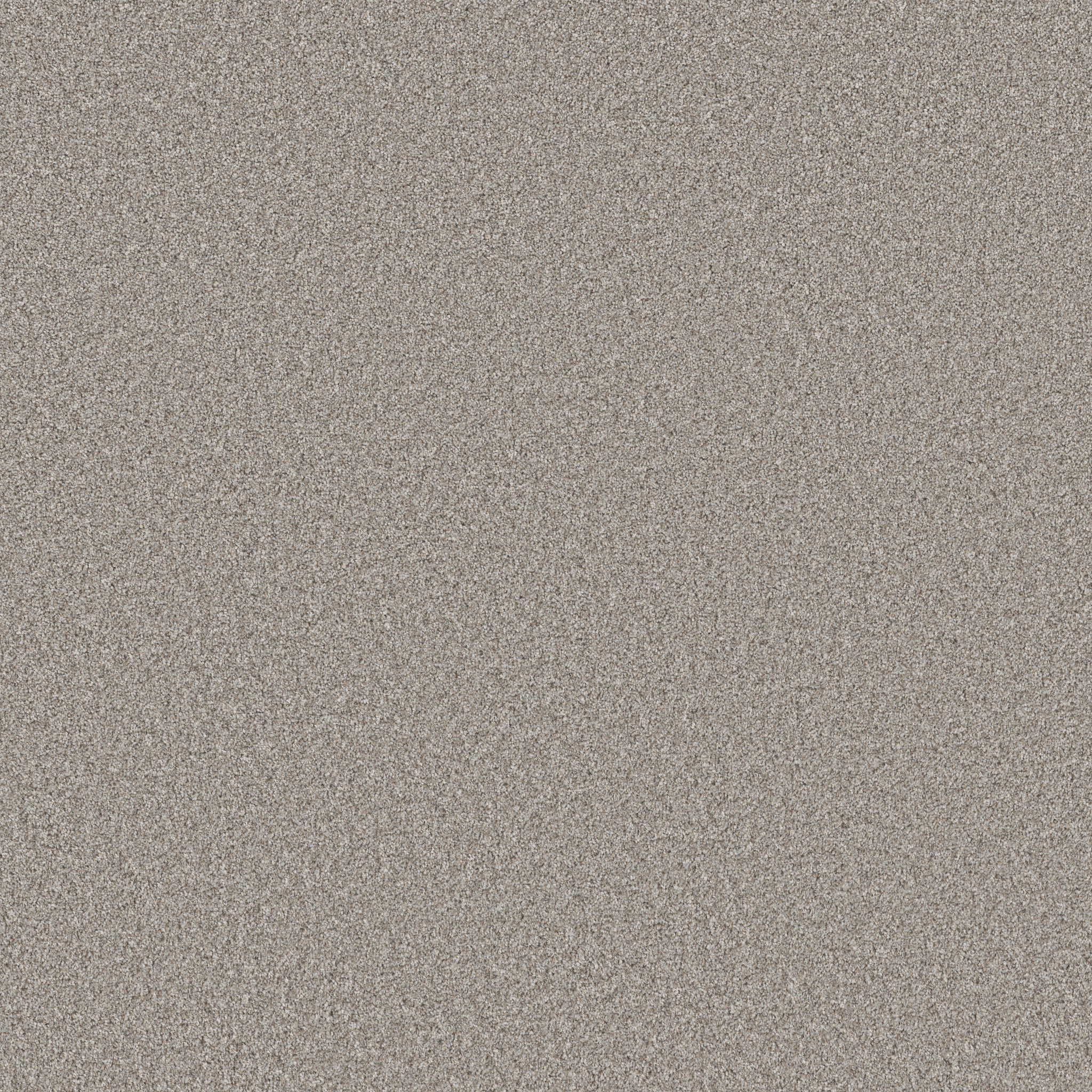 Conquest Tweed-Greige-PZ153_00730