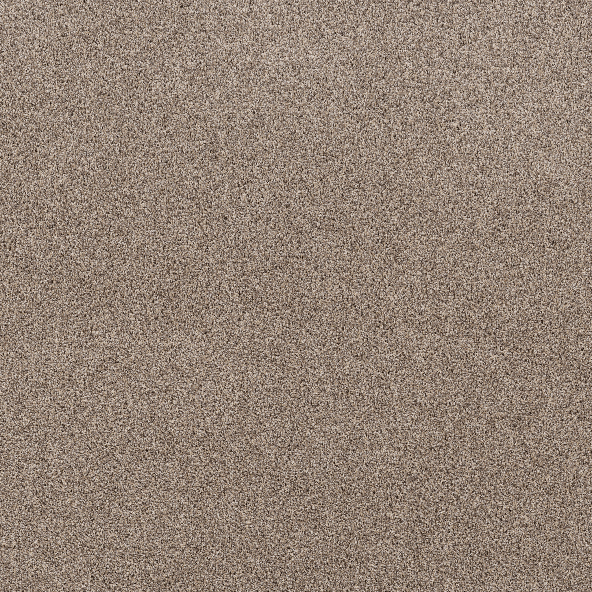 Captivate - Beige Mist - PZ155_00121