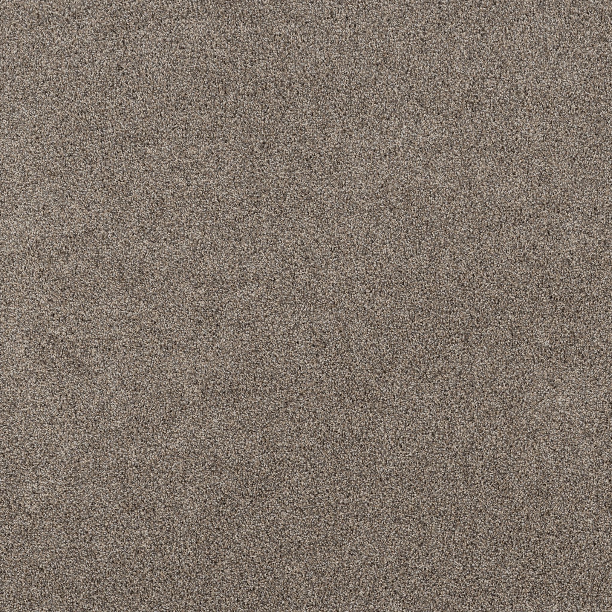 Captivate-Stonecrest-PZ155_00122