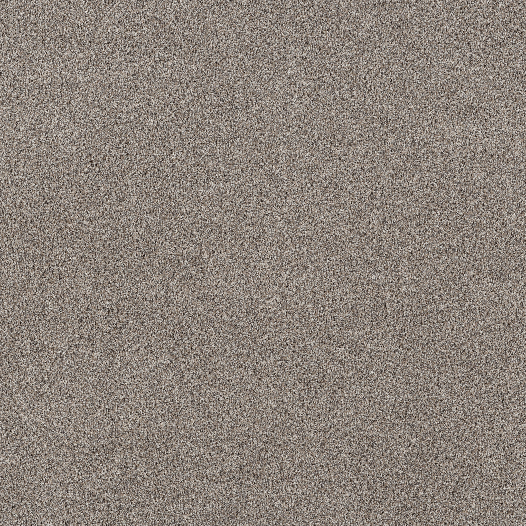 Captivate-Soft Fleece-PZ155_00131