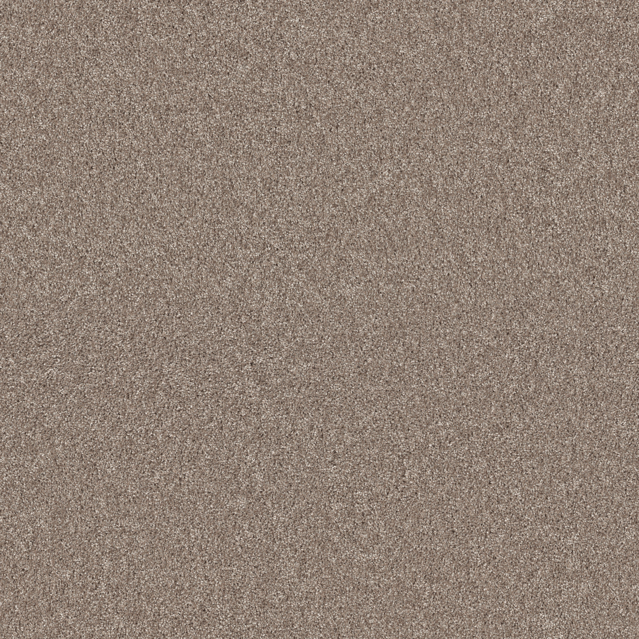 Captivate-Satin Shimmer-PZ155_00141