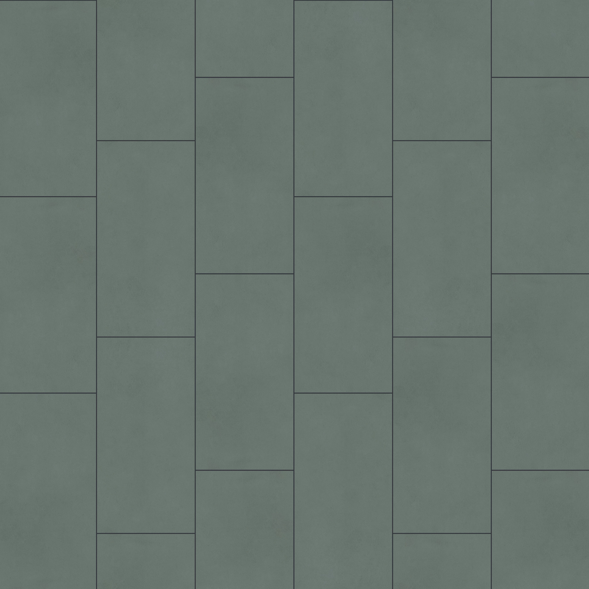 Colorwave 12X24-Oliva-TG09K_00300