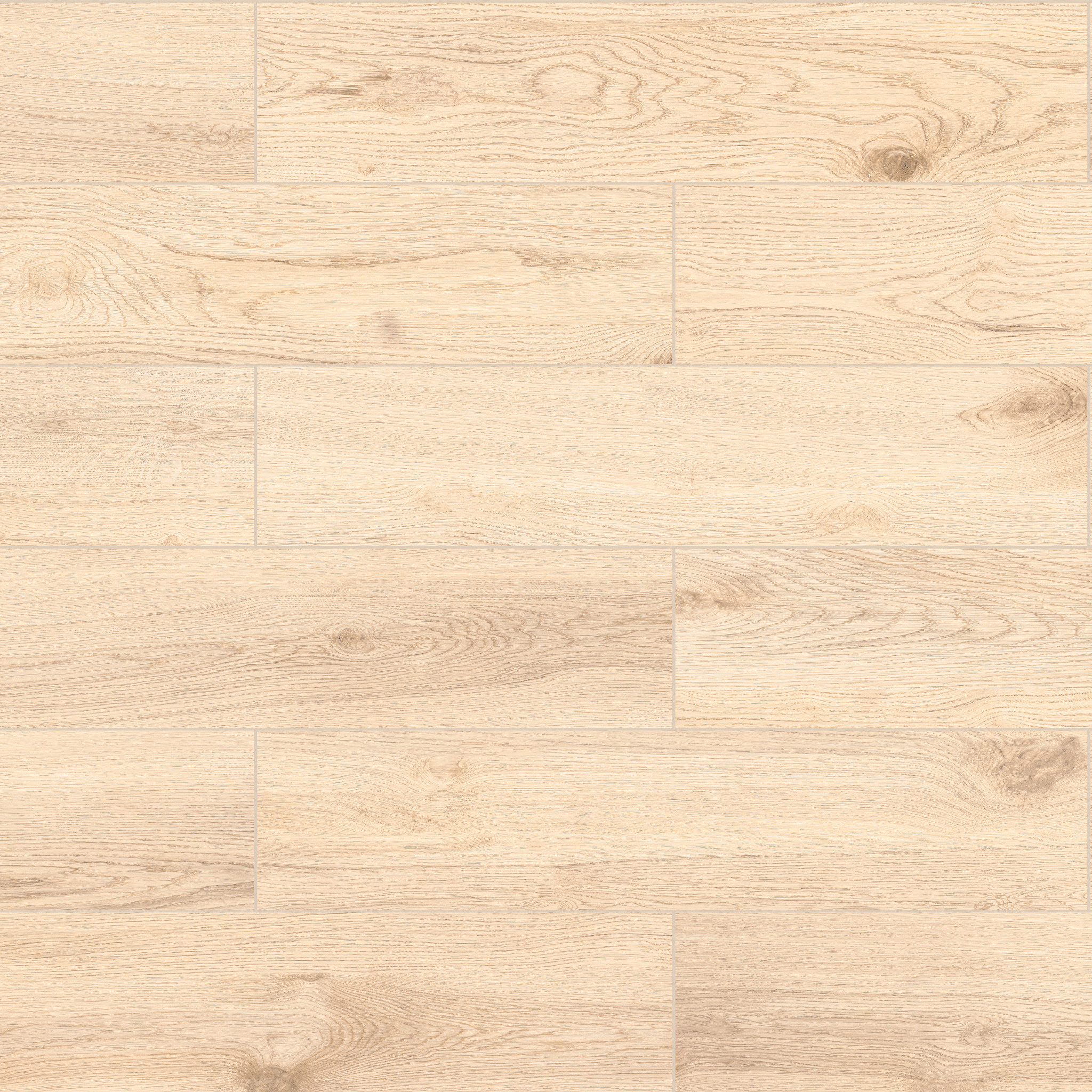 Windsor 8X36-Khaki-TG39J_00200