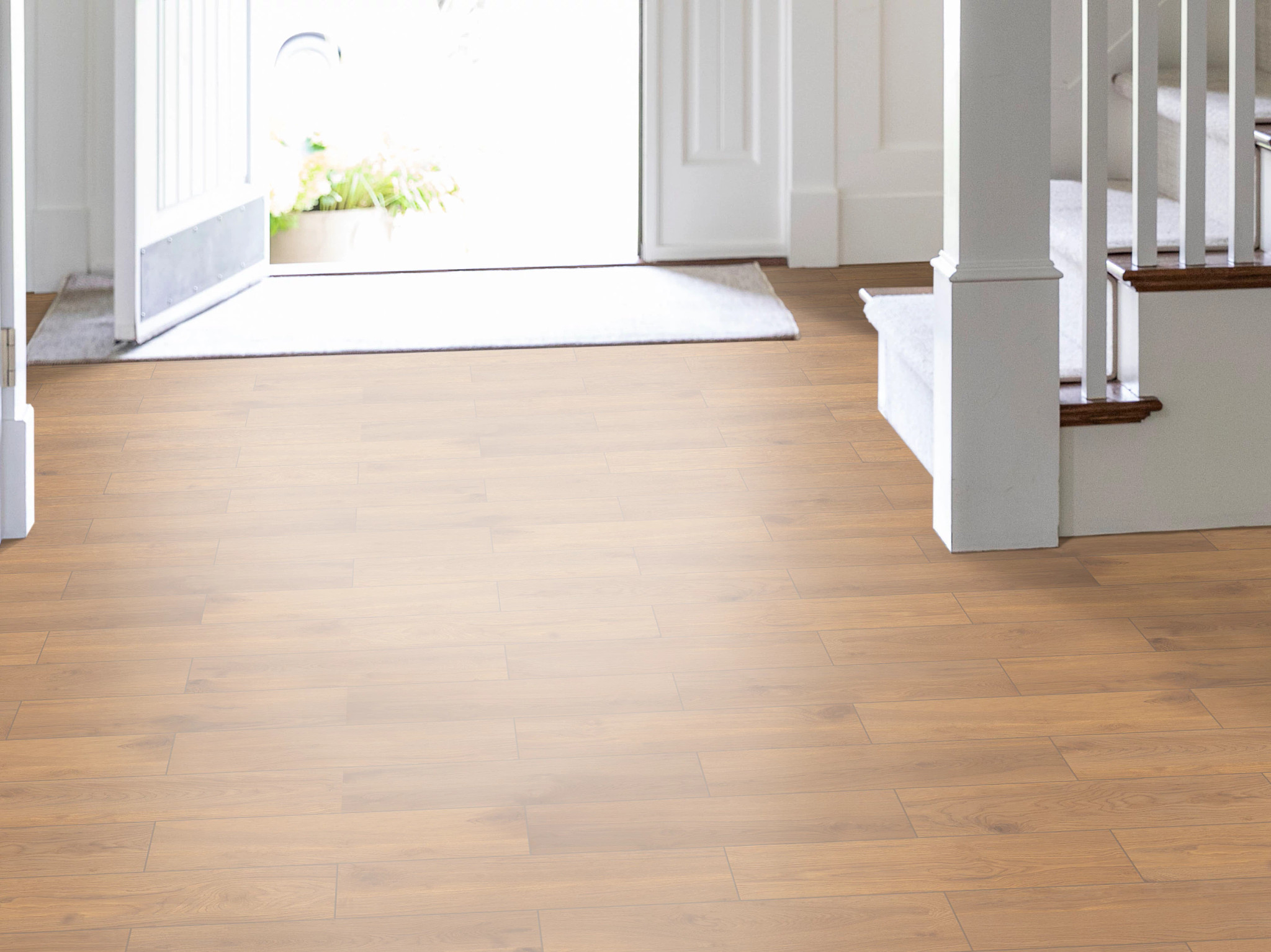 Windsor 8X36 - Almond - TG39J_00600