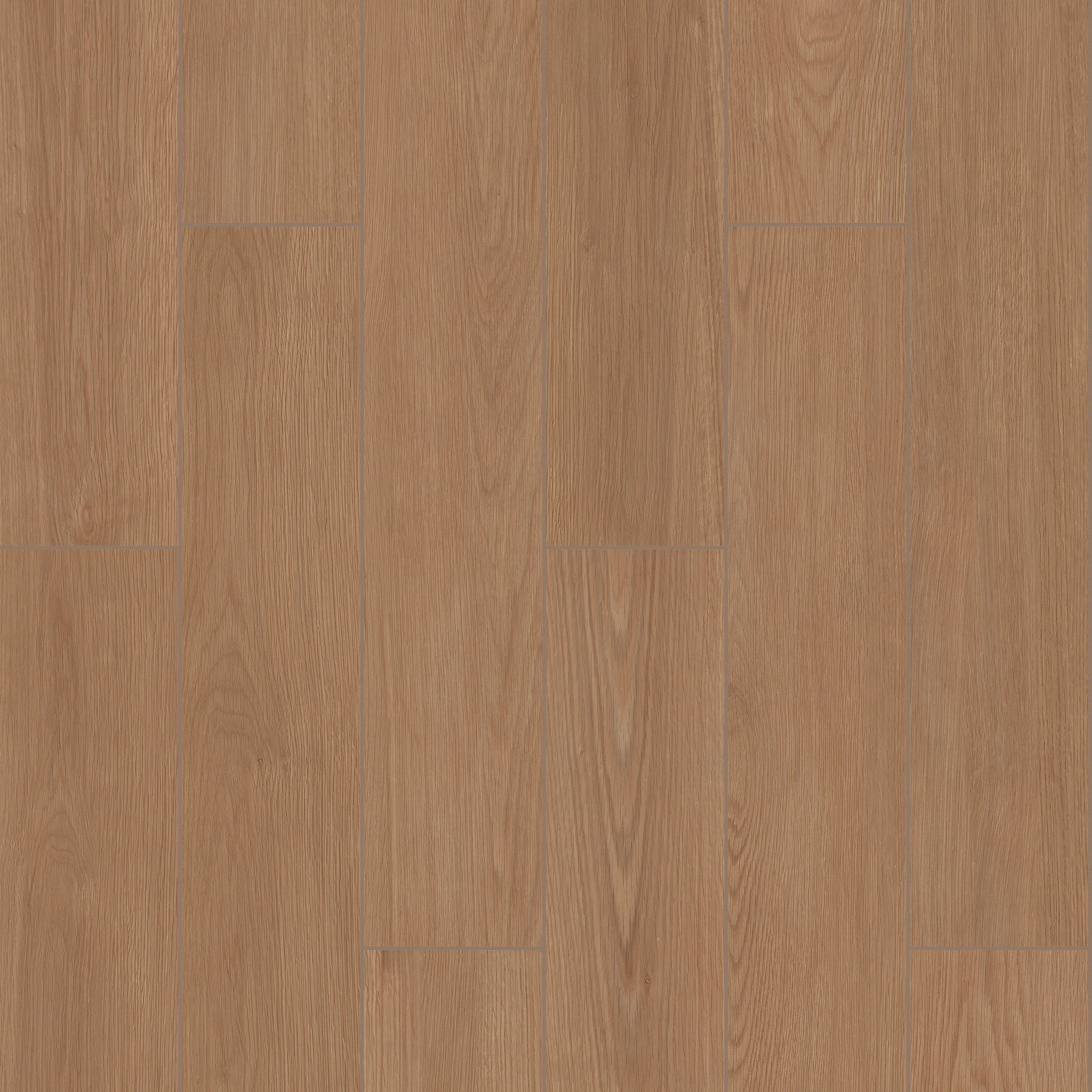 Highland 6X36-Savanna-TG46K_00202