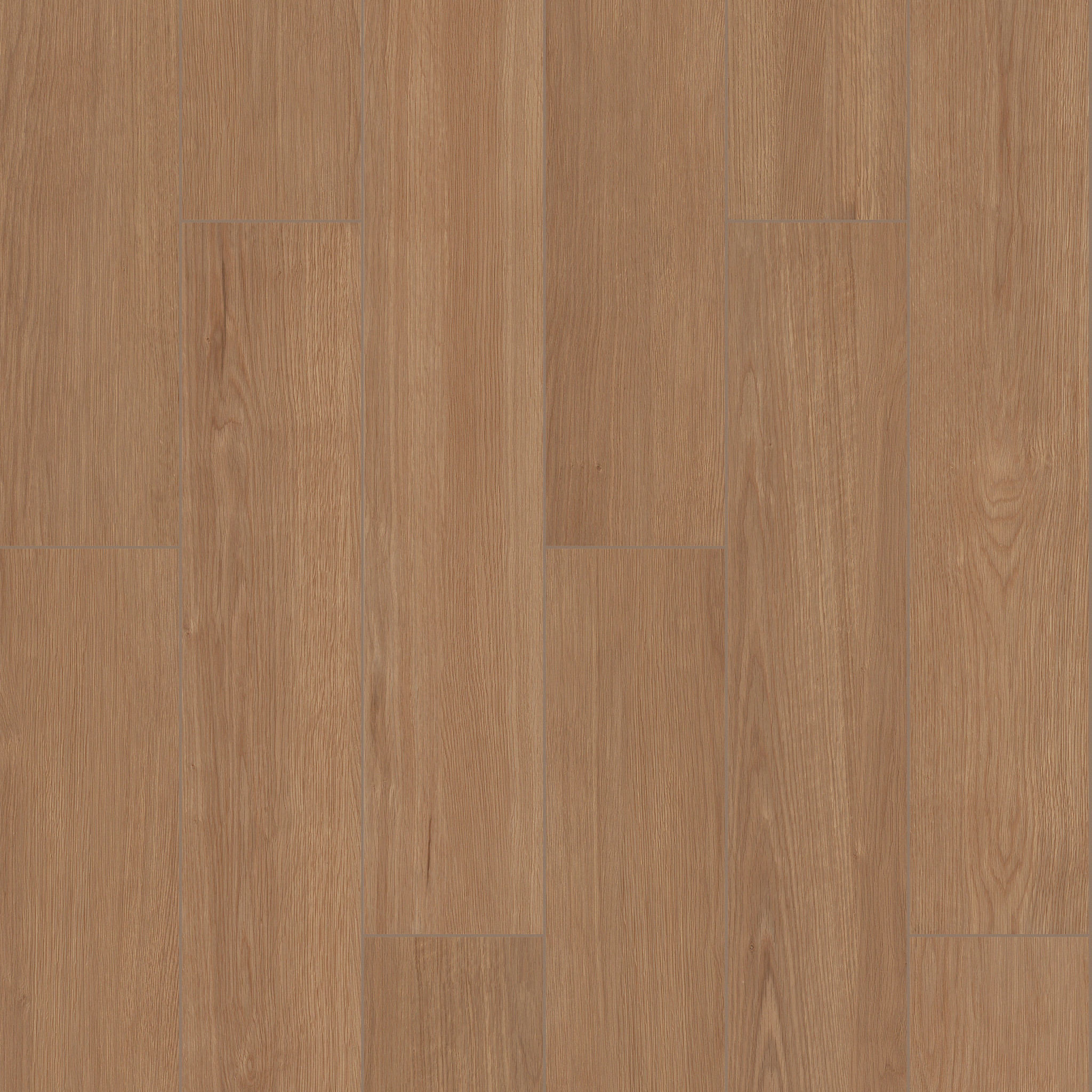 Highland 8X48-Savanna-TG47K_00202