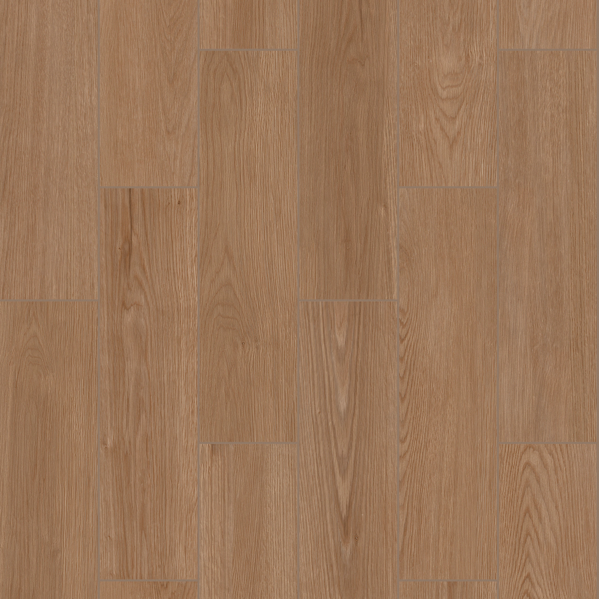 Highland 6X24-Savanna-TG48K_00202