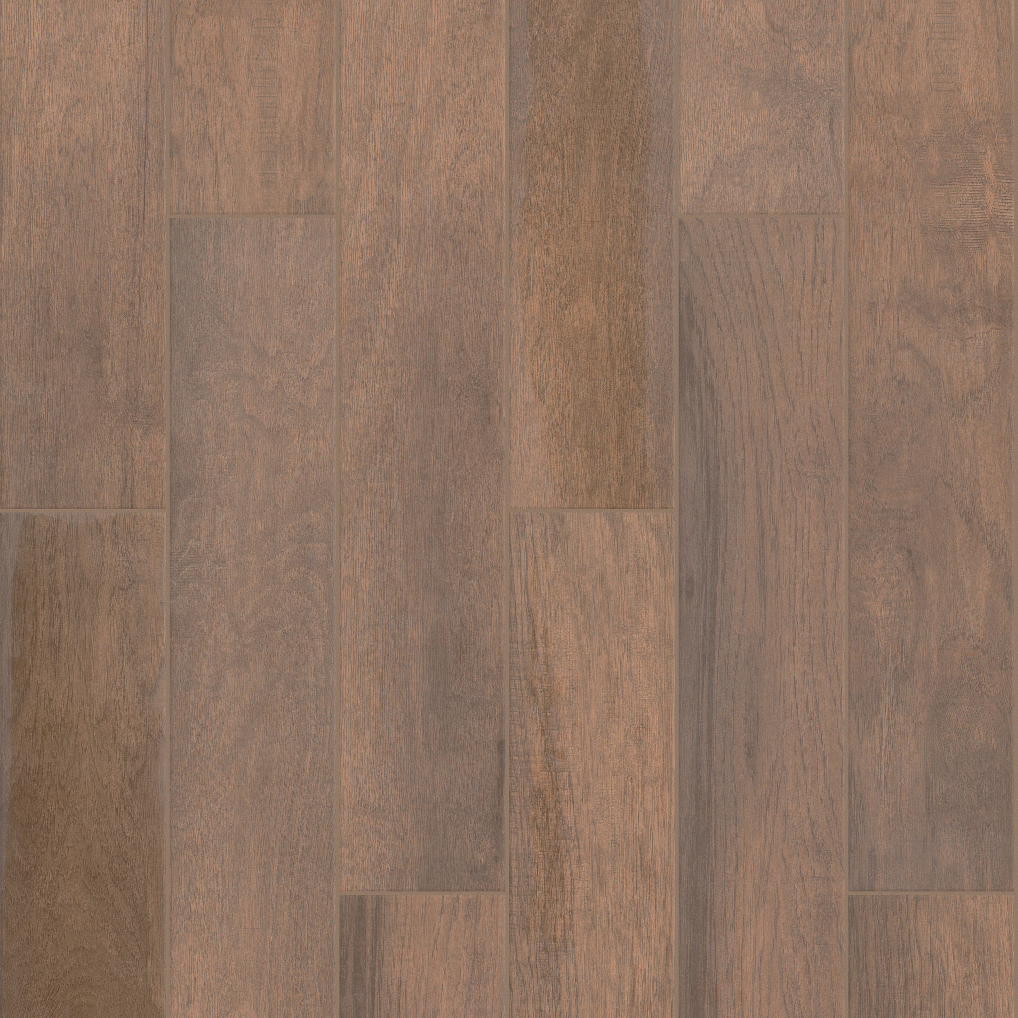 Vista 6X36 - Saddle - TG51J_00700