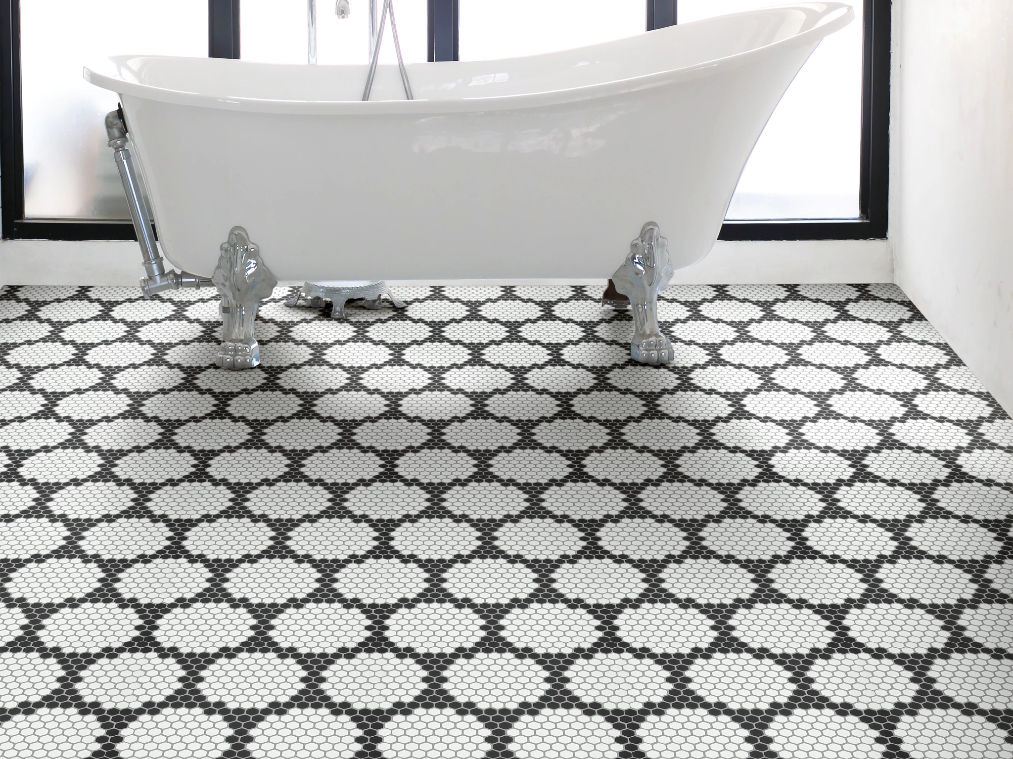 Apothecary Colony - Black - TG55F_00900