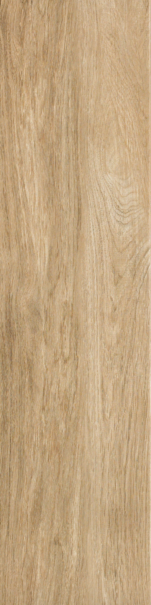 Harlow 8X32 - Lights - TGN79_00700