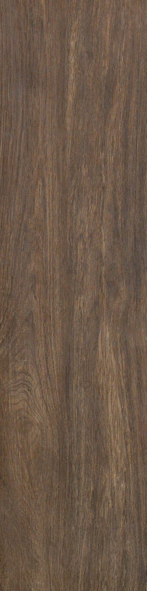 Harlow 8X32 - Hollywood - TGN79_00770