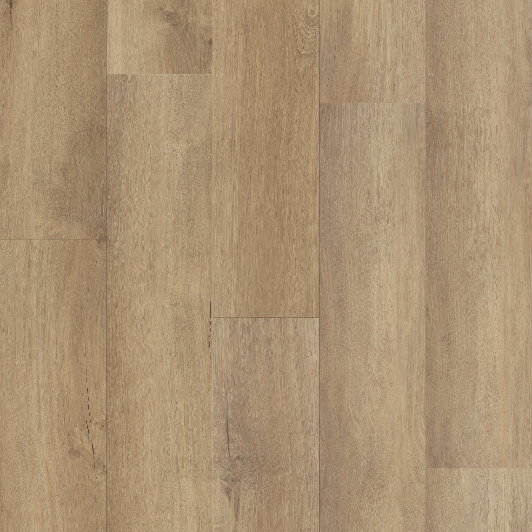 Optimum 512C Plus-Marina-VE210_02014