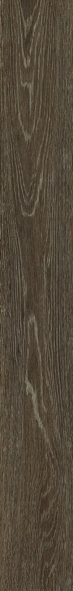 Downtown Usa 12 - Lakeshore Dr - VE221_00774