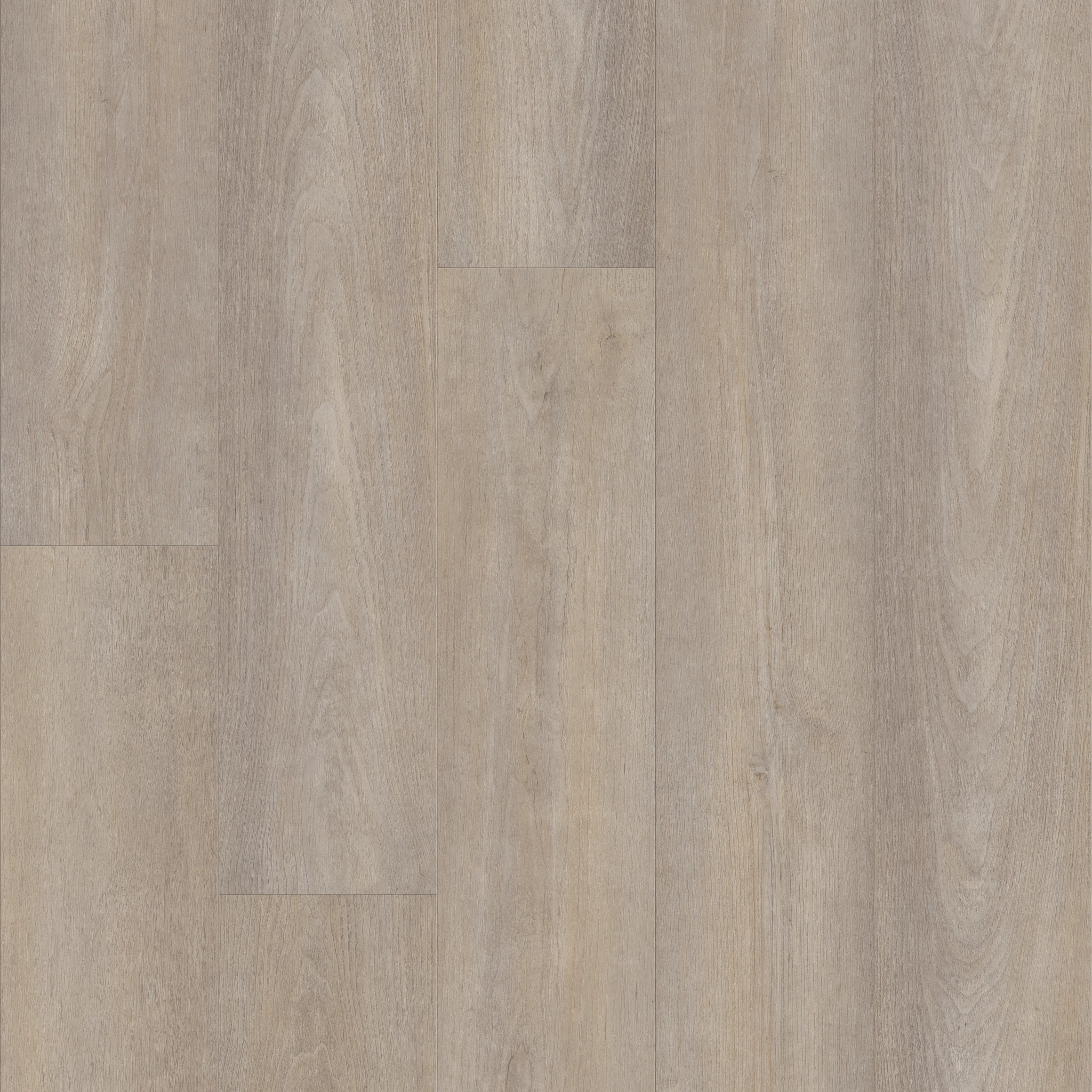 Supino Hd Plus-Cenere-VE231_05230