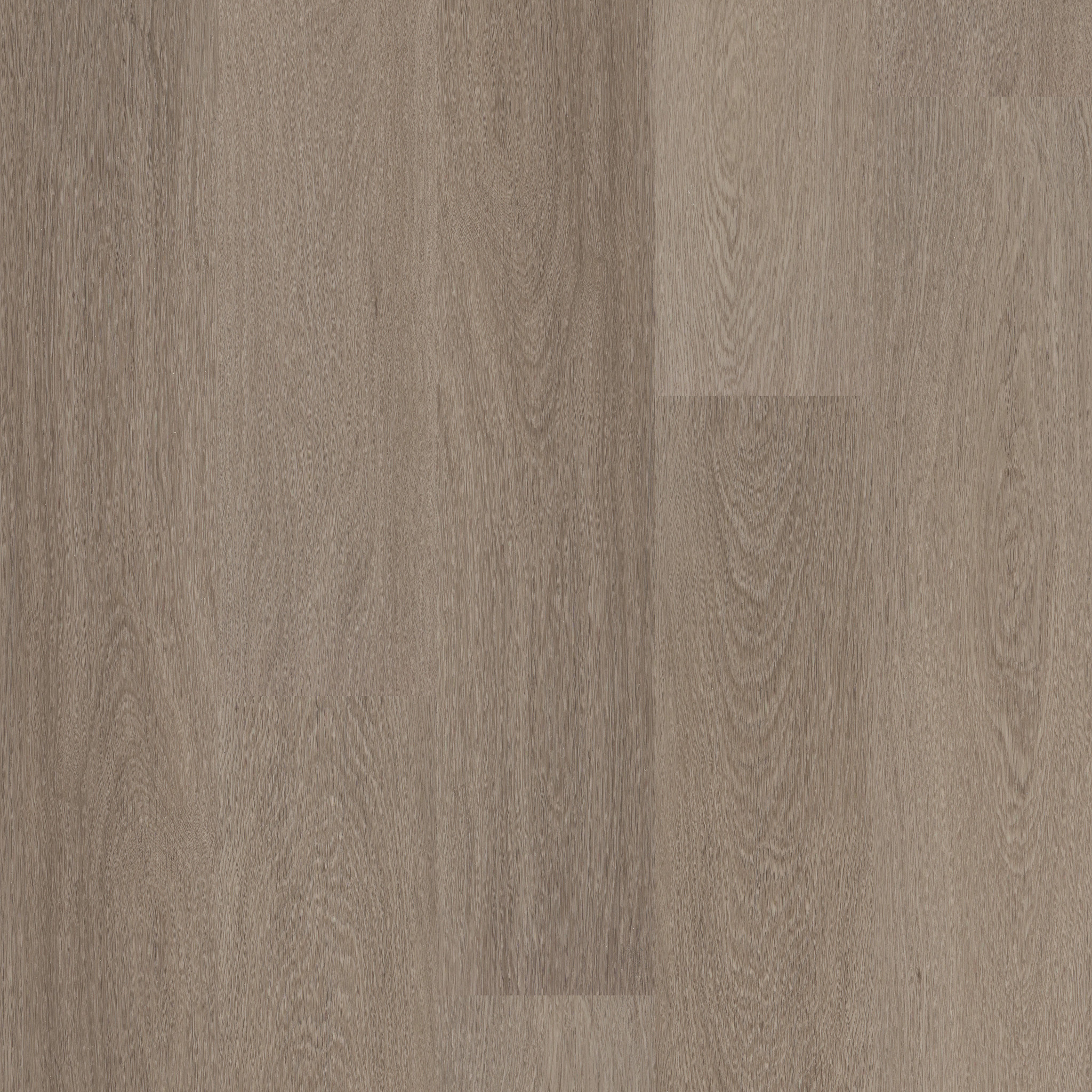 Prominence Plus-Executive Oak-VE381_05079