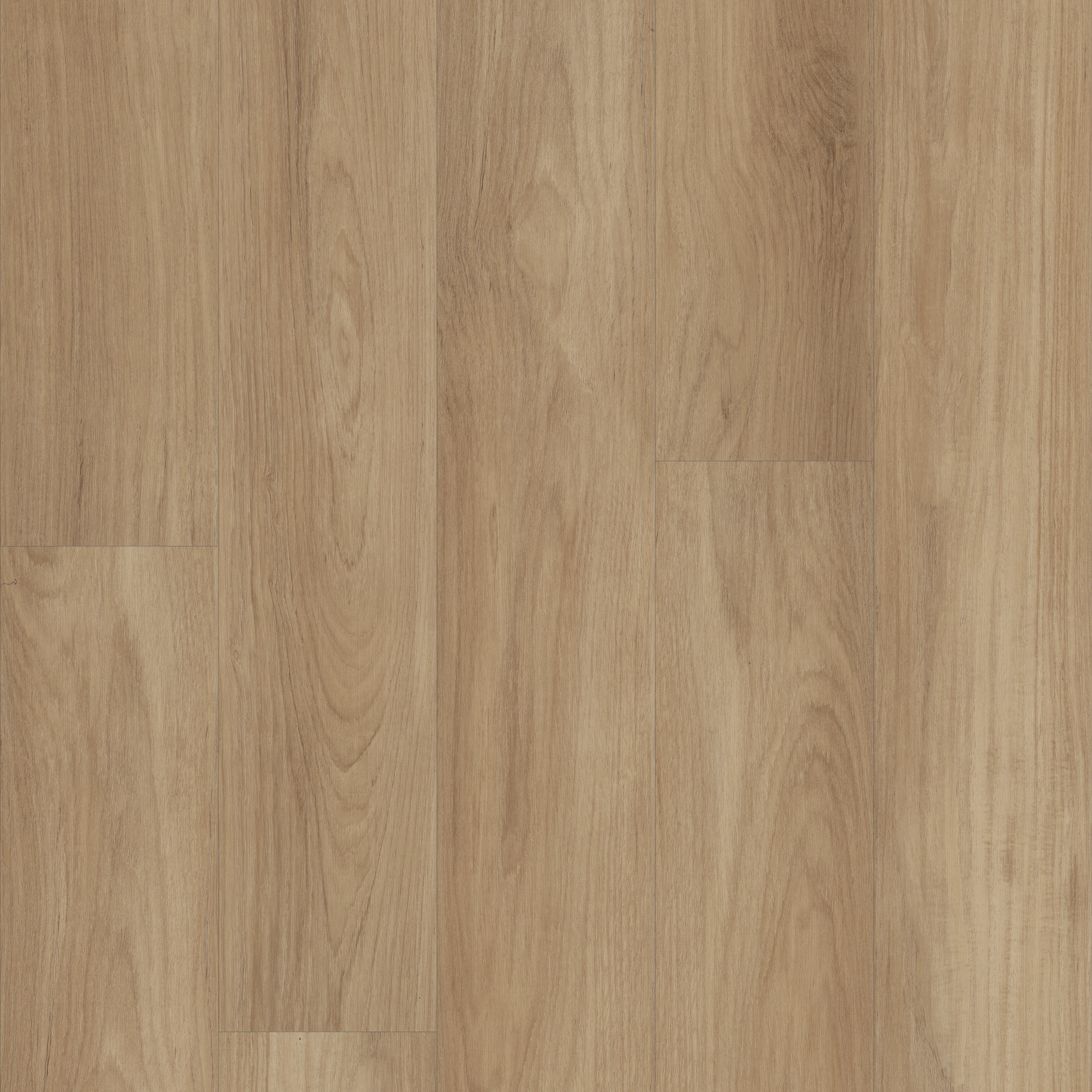 Prominence Plus-Hazelnut Brown-VE381_07320