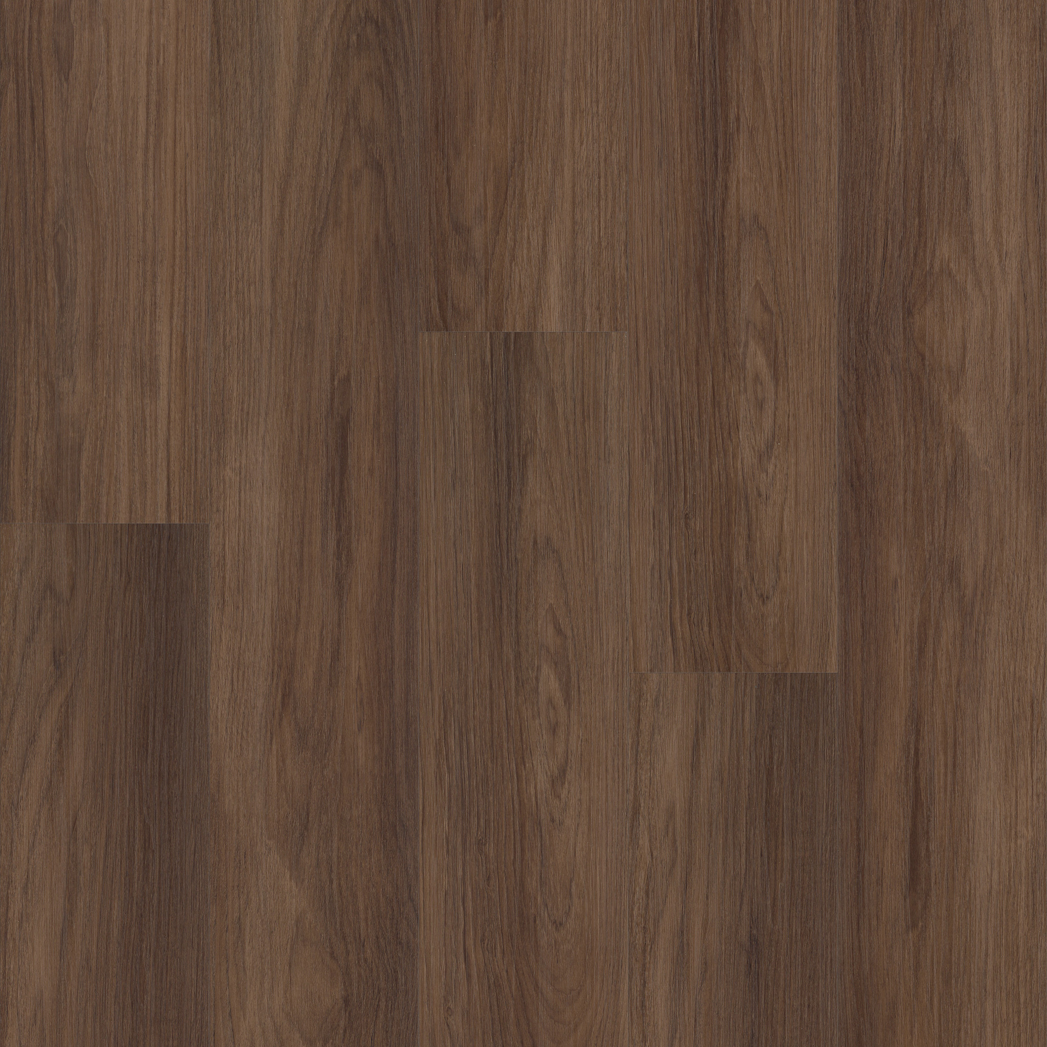 Prominence Plus - Burnt Umber - VE381_07321