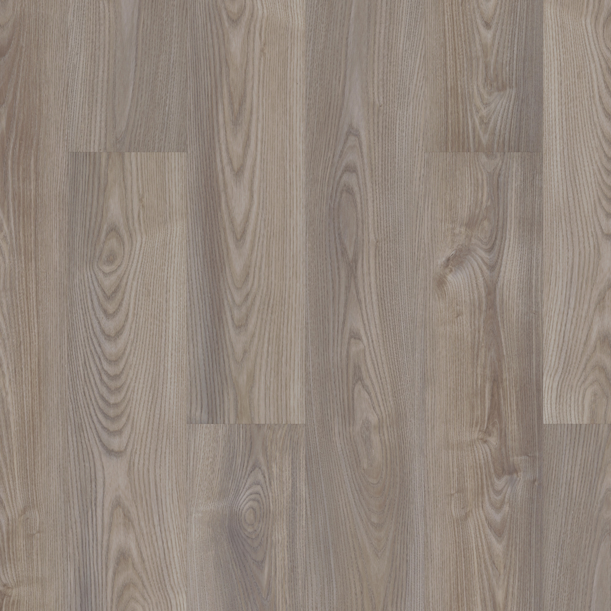 Brio Plus 20 - Grey Chestnut - VE429_07062