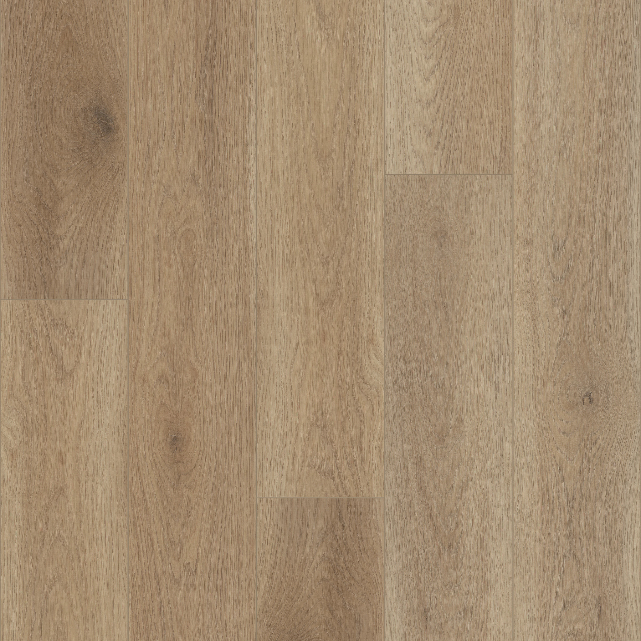 Anchor Point-Honey Wheat-VE430_02131