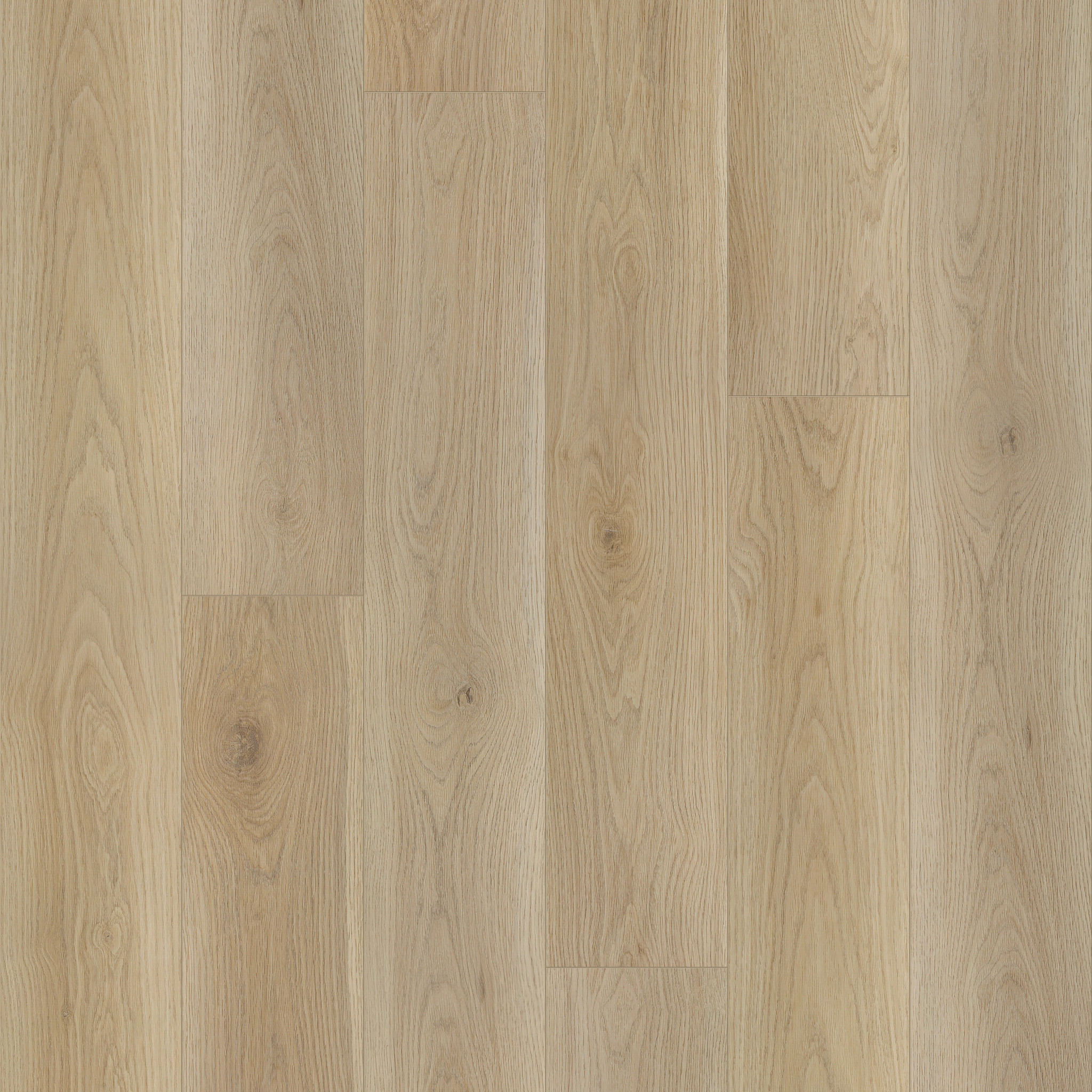 Anchor Point-Vanilla Chai-VE430_02132