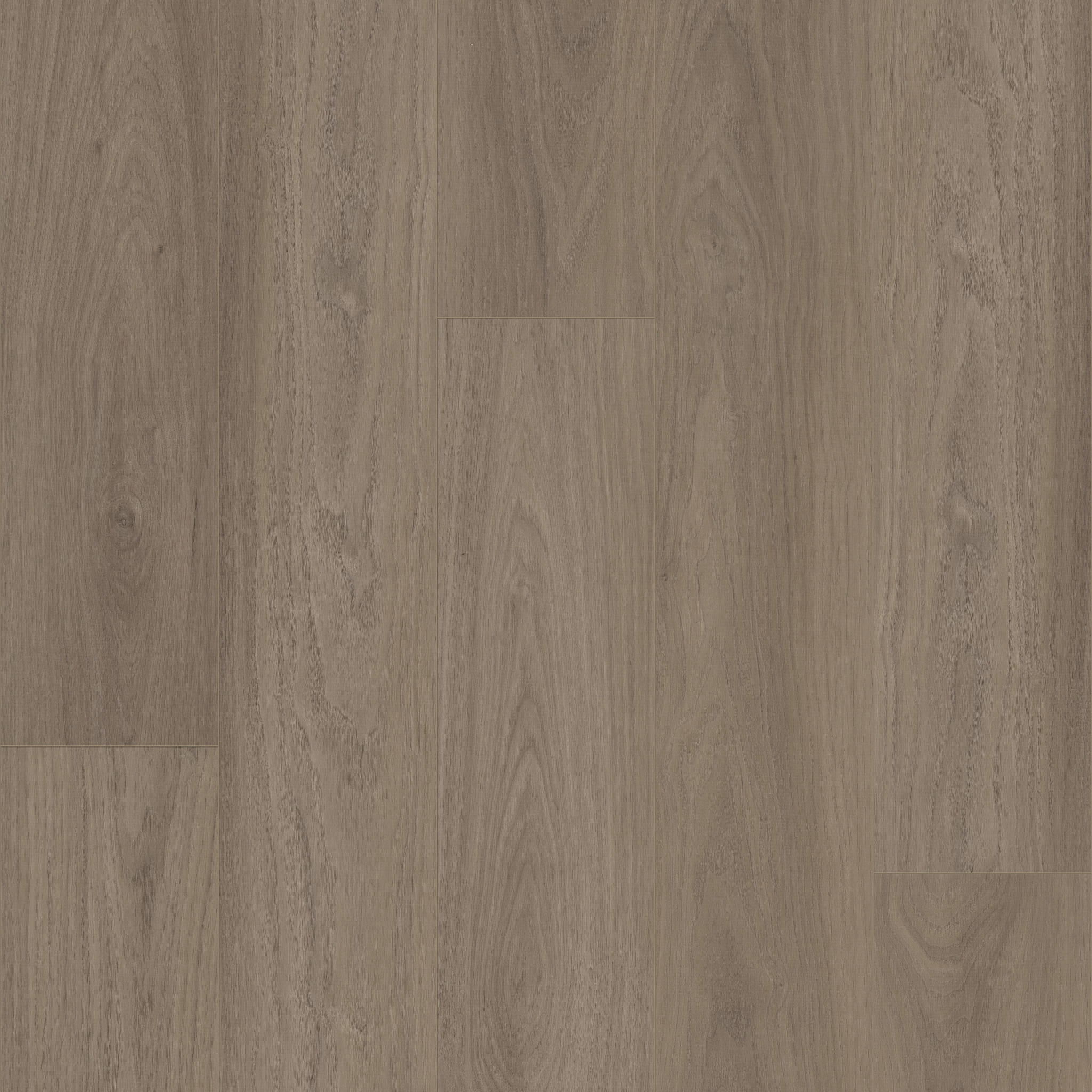 Anchor Point-Woodland Mist-VE430_05266