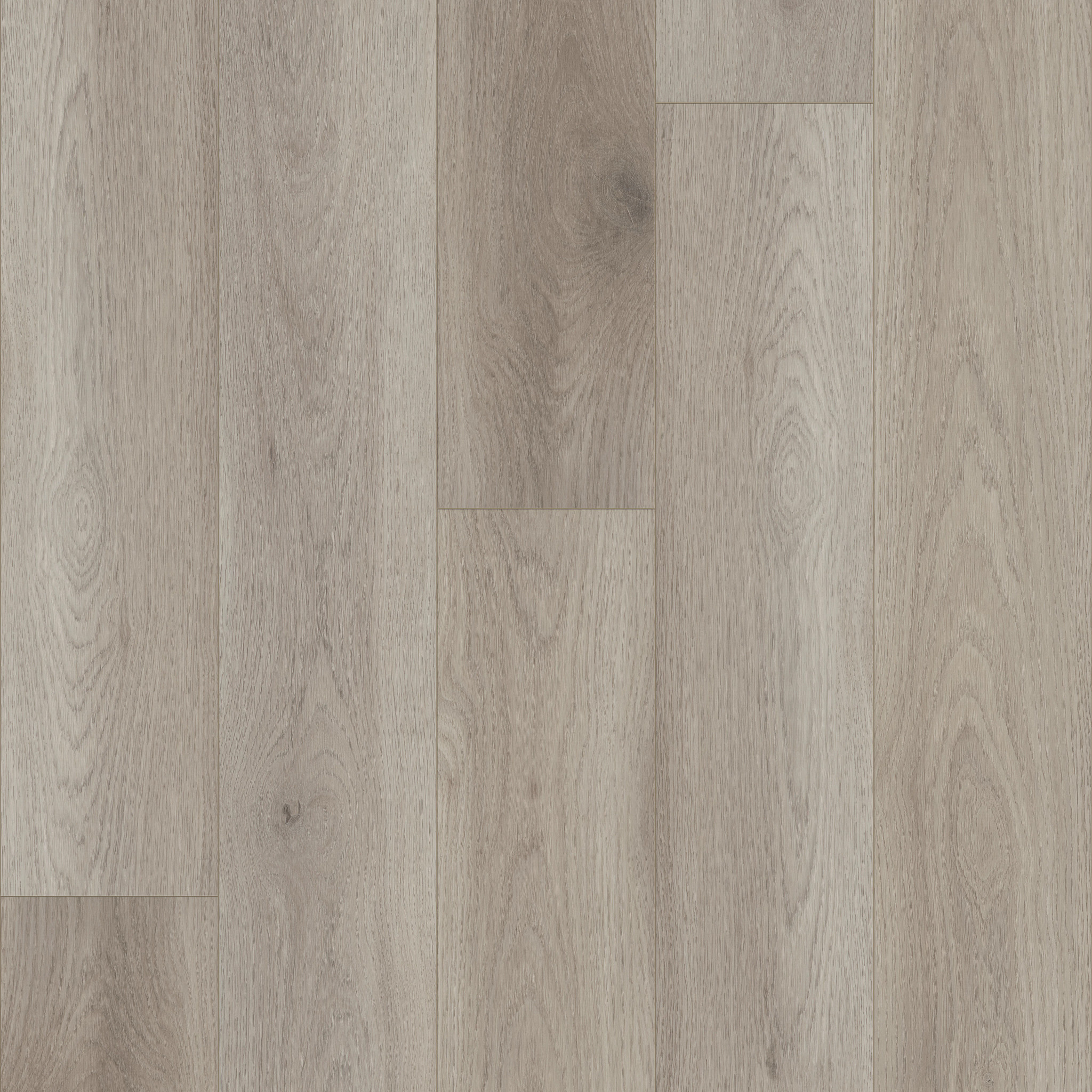 Anchor Point-Gentle Fog-VE430_05267