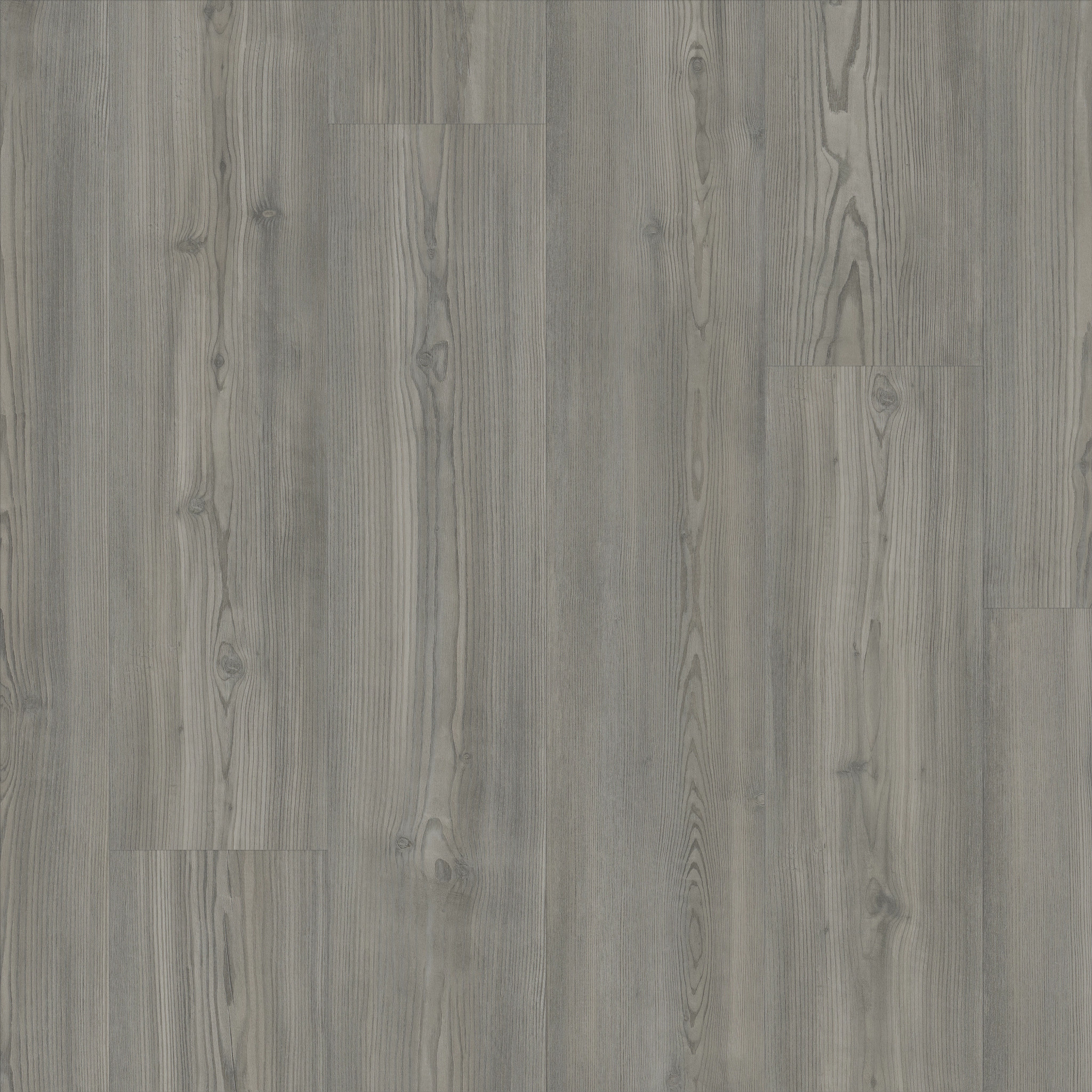 Polaris Plus-Fresh Pine-VE433_05052