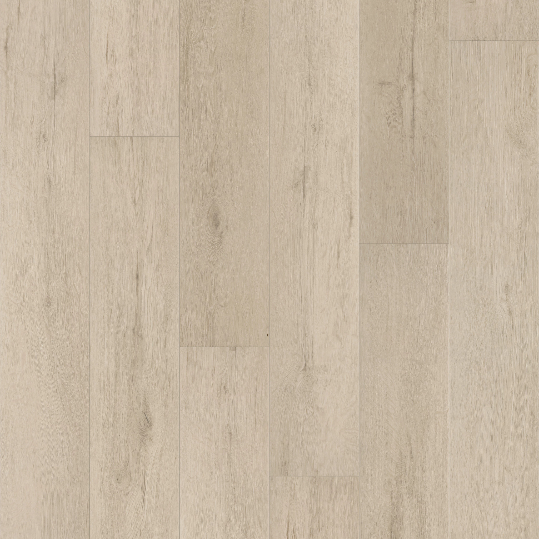 Supino Hd+Natural Bevel-Fresco Cream-VE441_02128