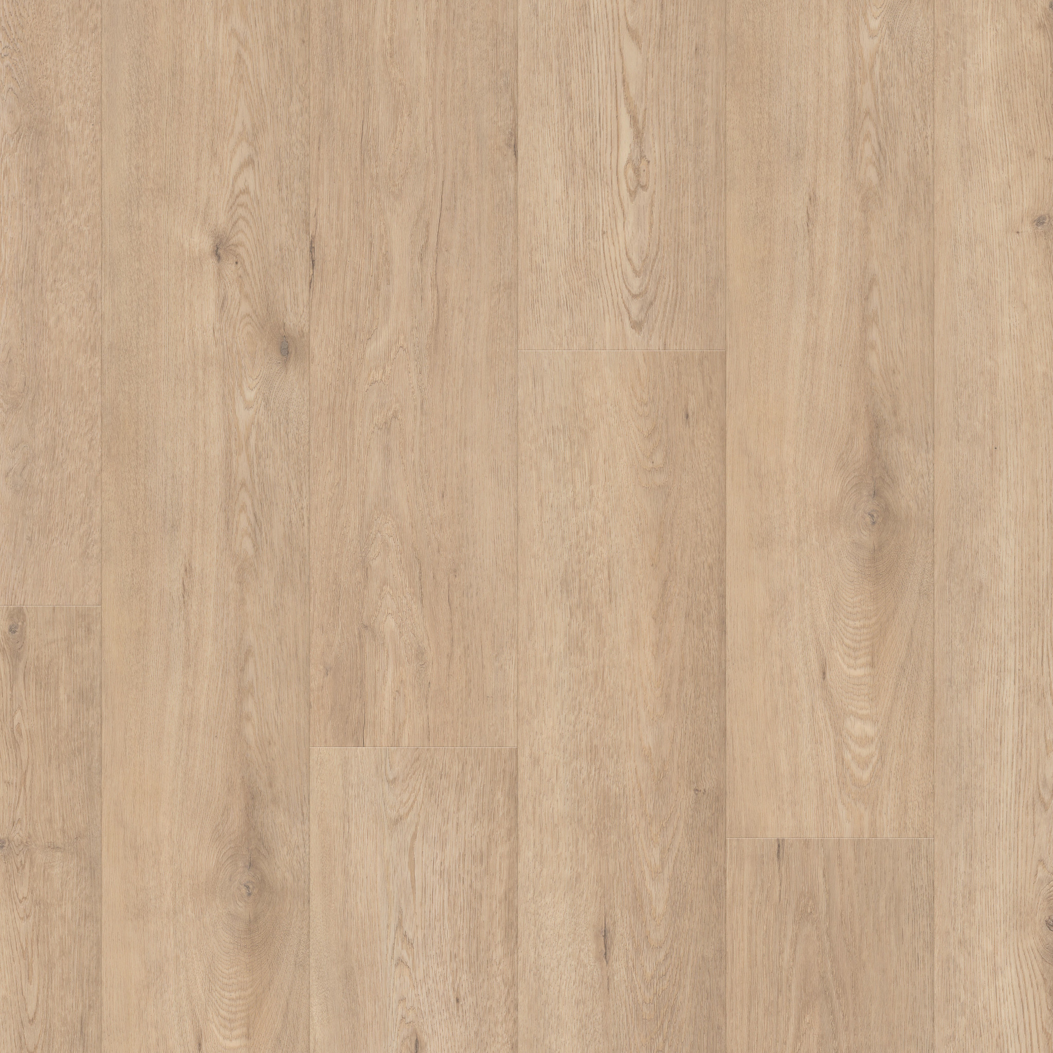 Resolute+ Prs Bvl-Callaway-VE443_02129