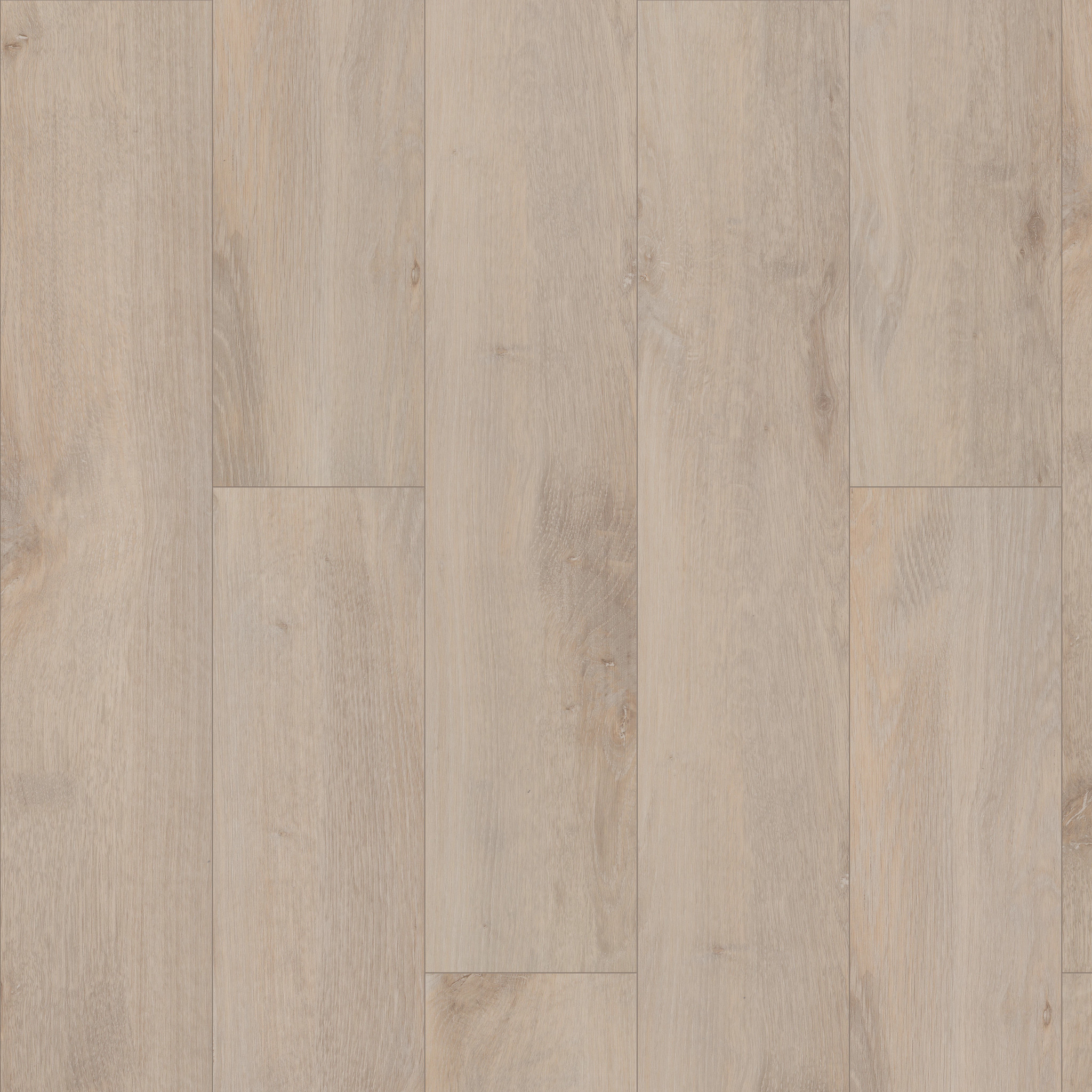 Pride Plus Accent Spc - Riverside - VE457_01031