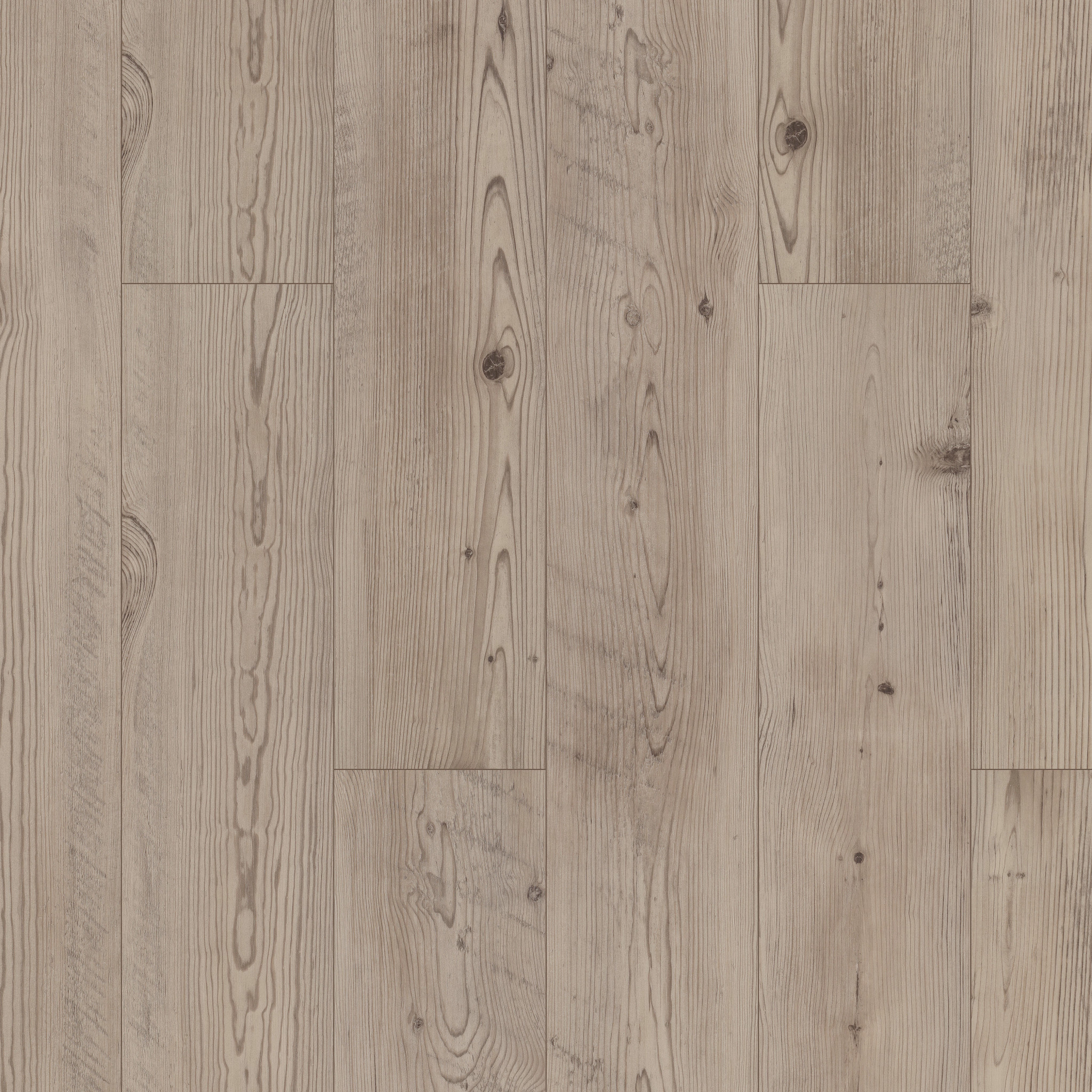 Prestique Pine