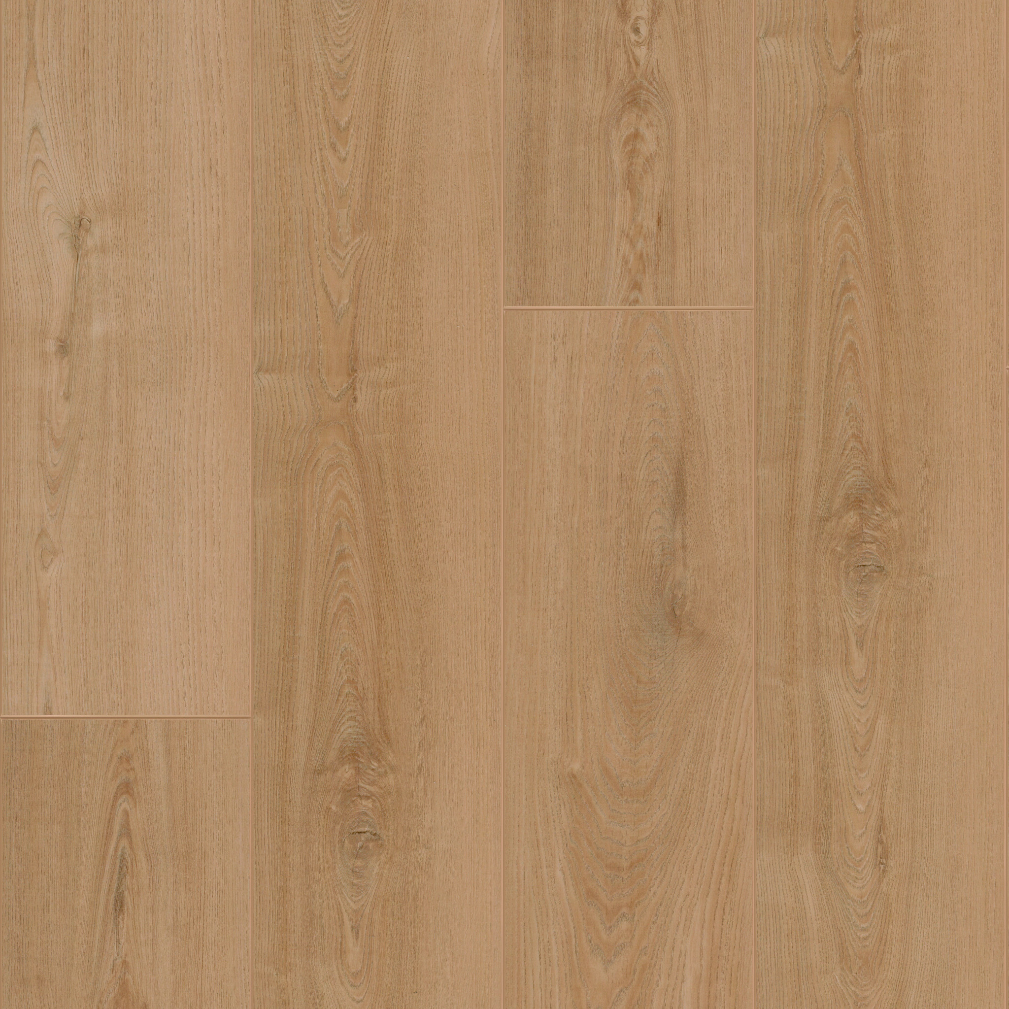 Aristocrat Hd+ Platinum-Antique Chestnut-VE459_02147