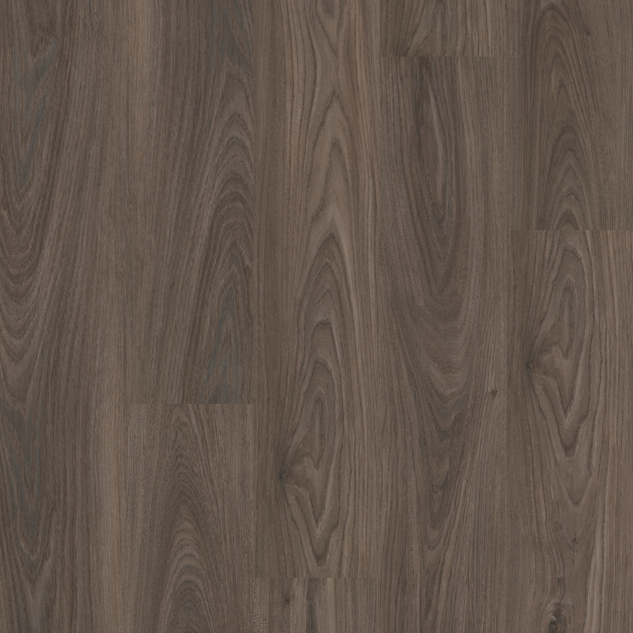 Cleveland Plus 20-Dark Elm-VE463_00915