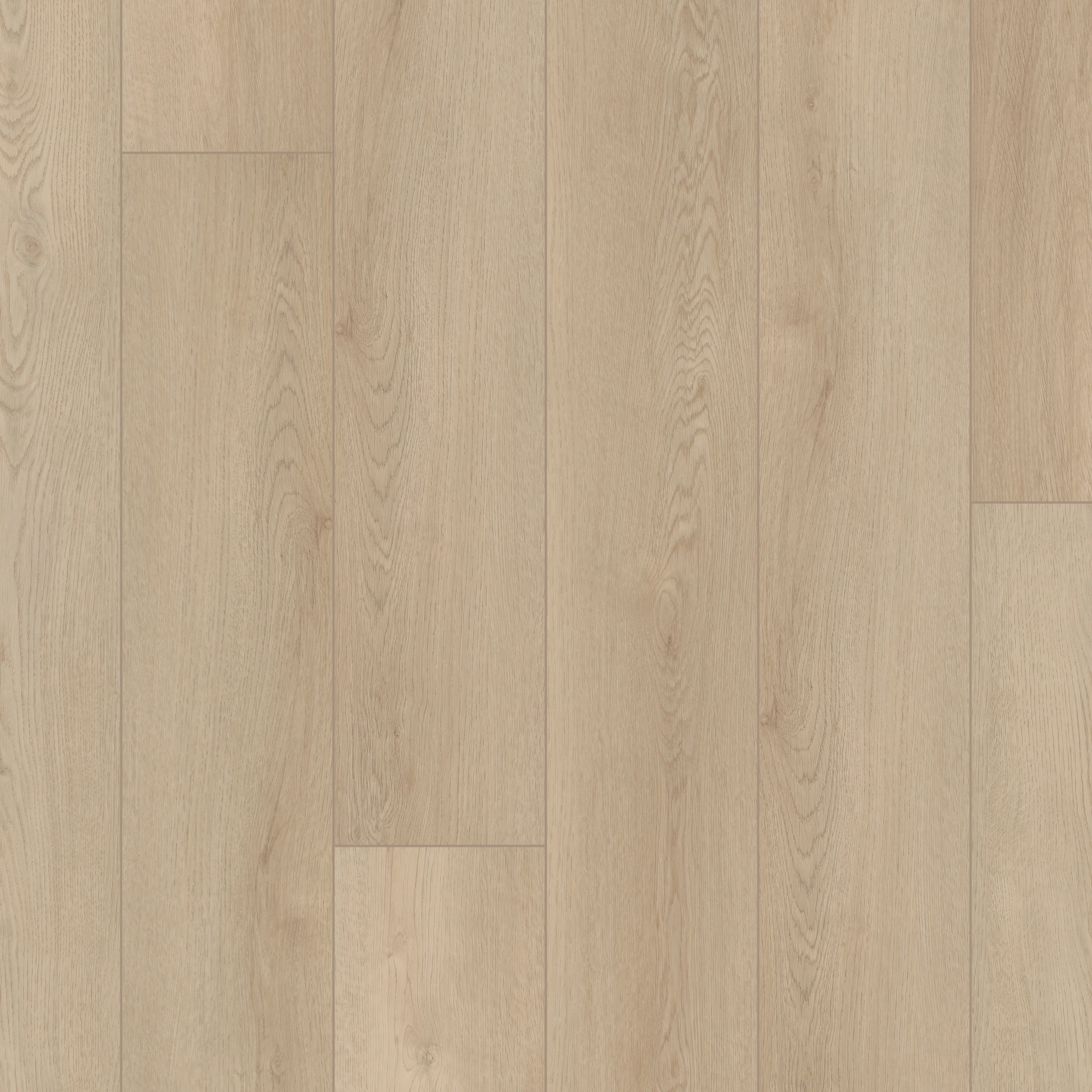 Starting Point-Sunlit Beige-VE482_02099