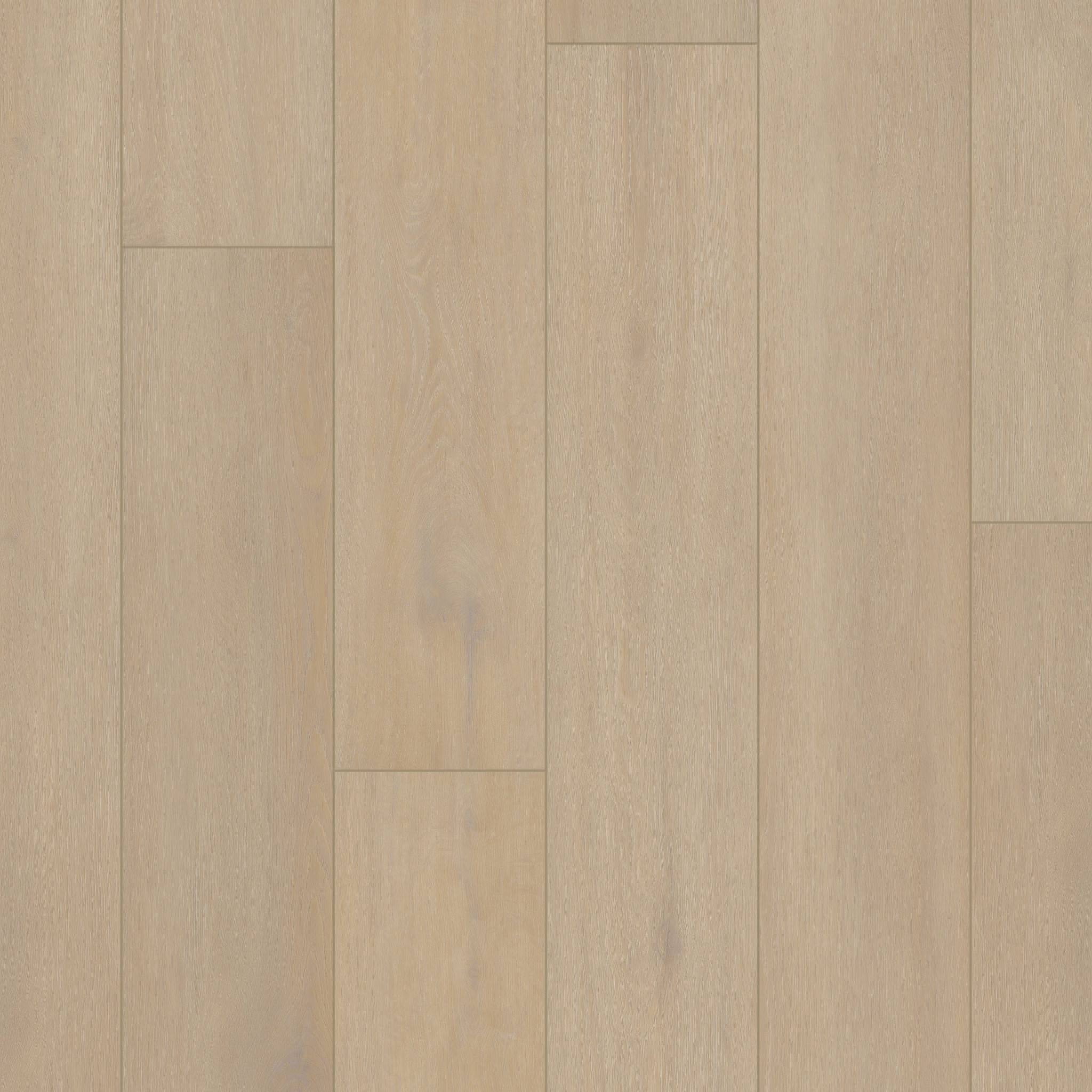 Starting Point-Natural Tone-VE482_02100