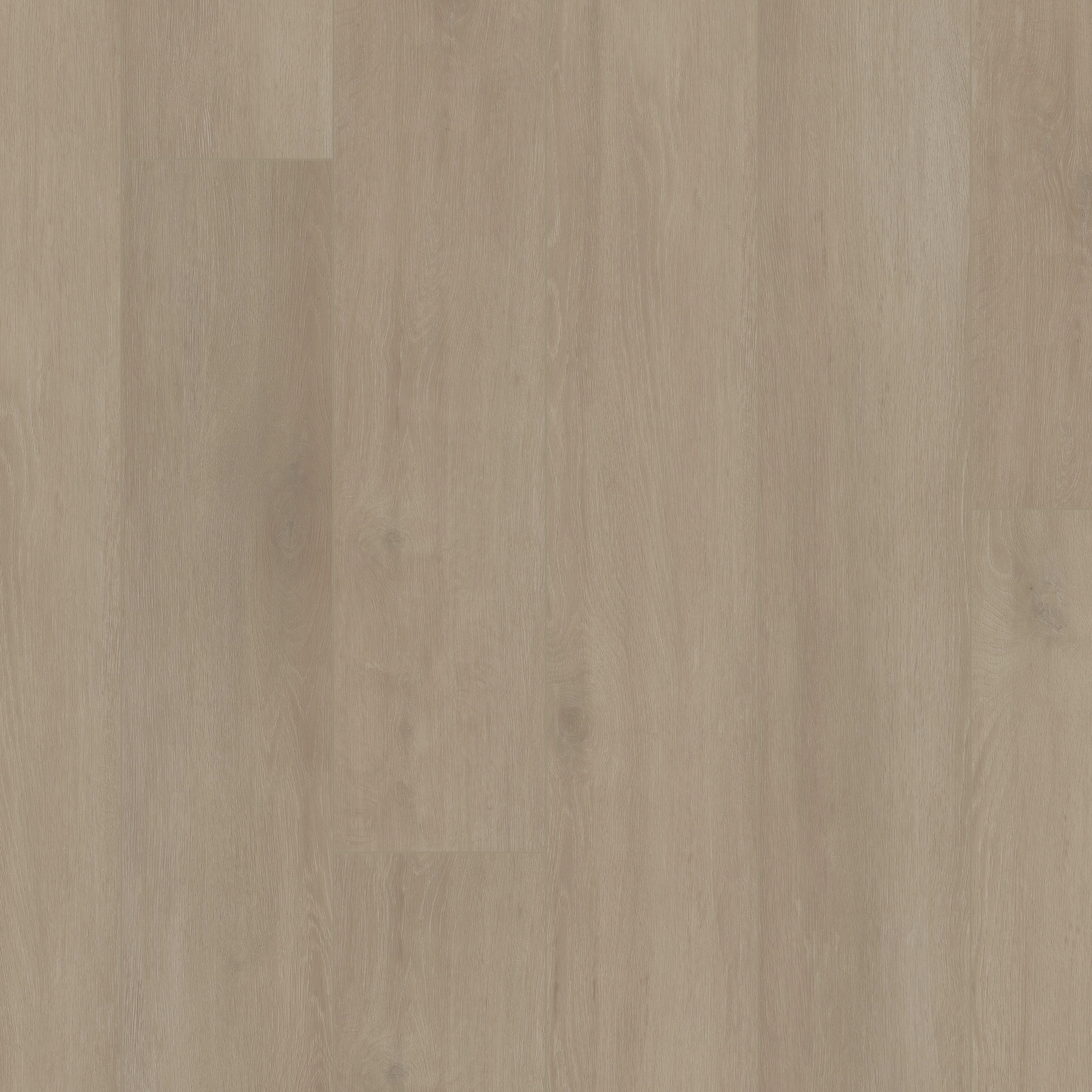 Starting Point-Serene Greige-VE482_07319