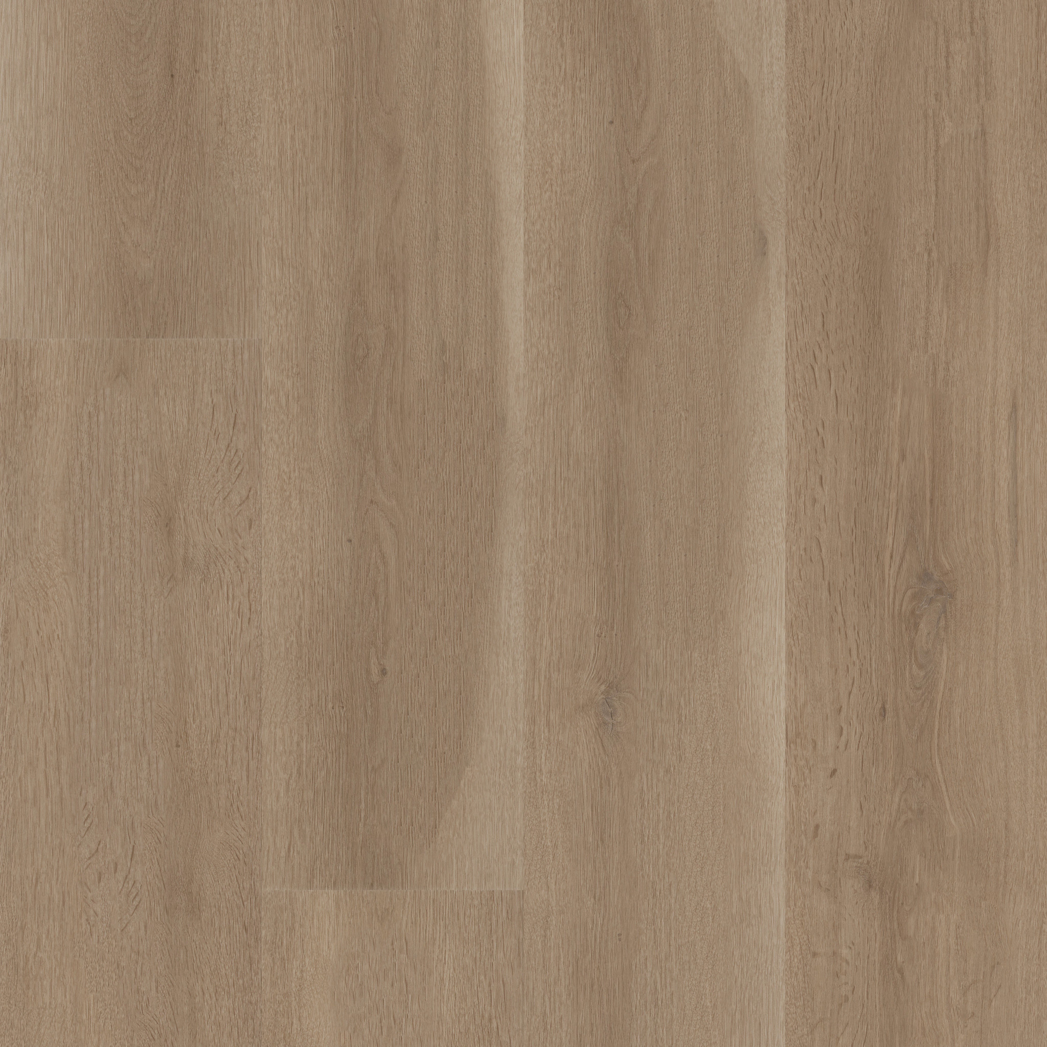 Insight Nb VE484 02109 | Shaw Builder Flooring