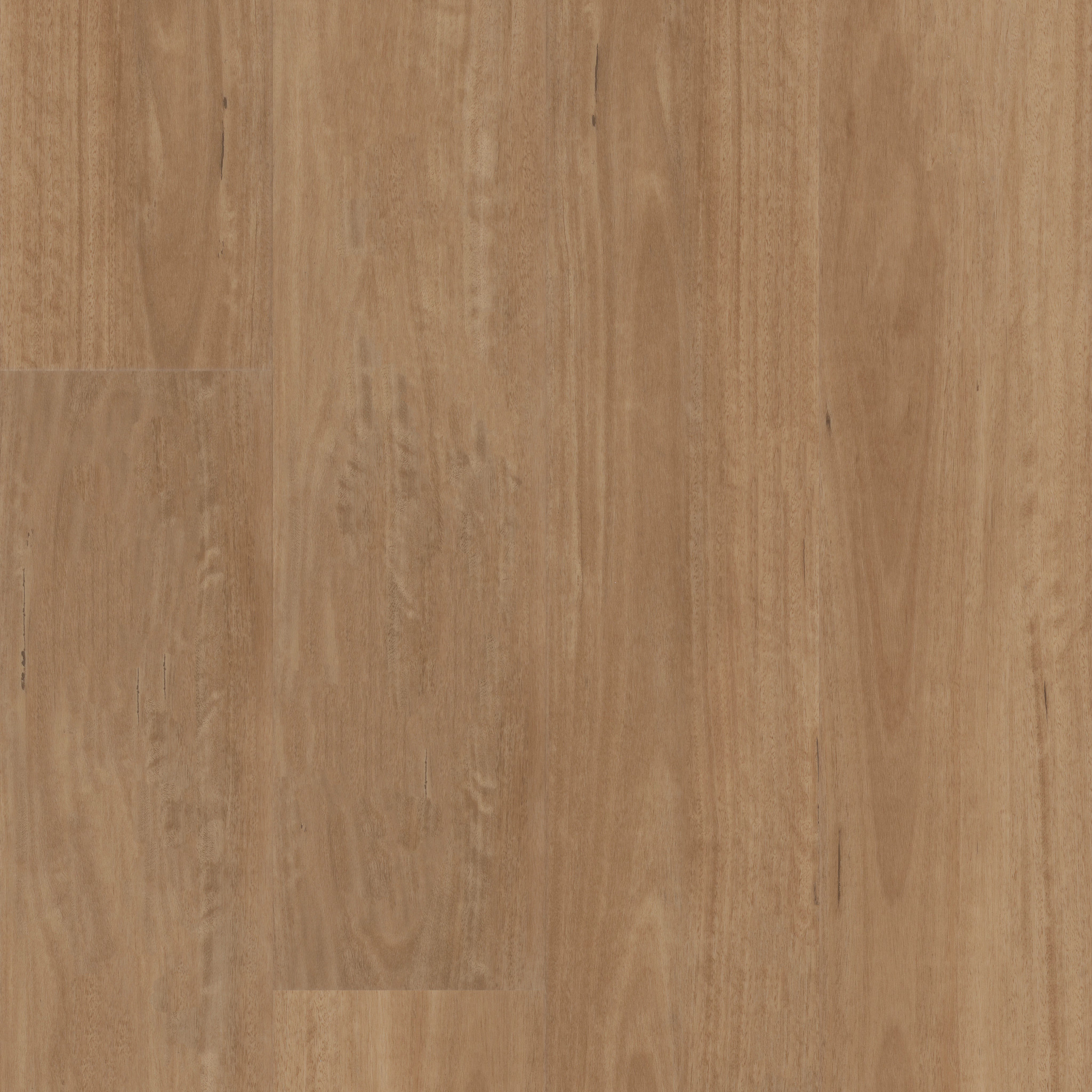 Insight Nb-Golden Shores-VE484_02110