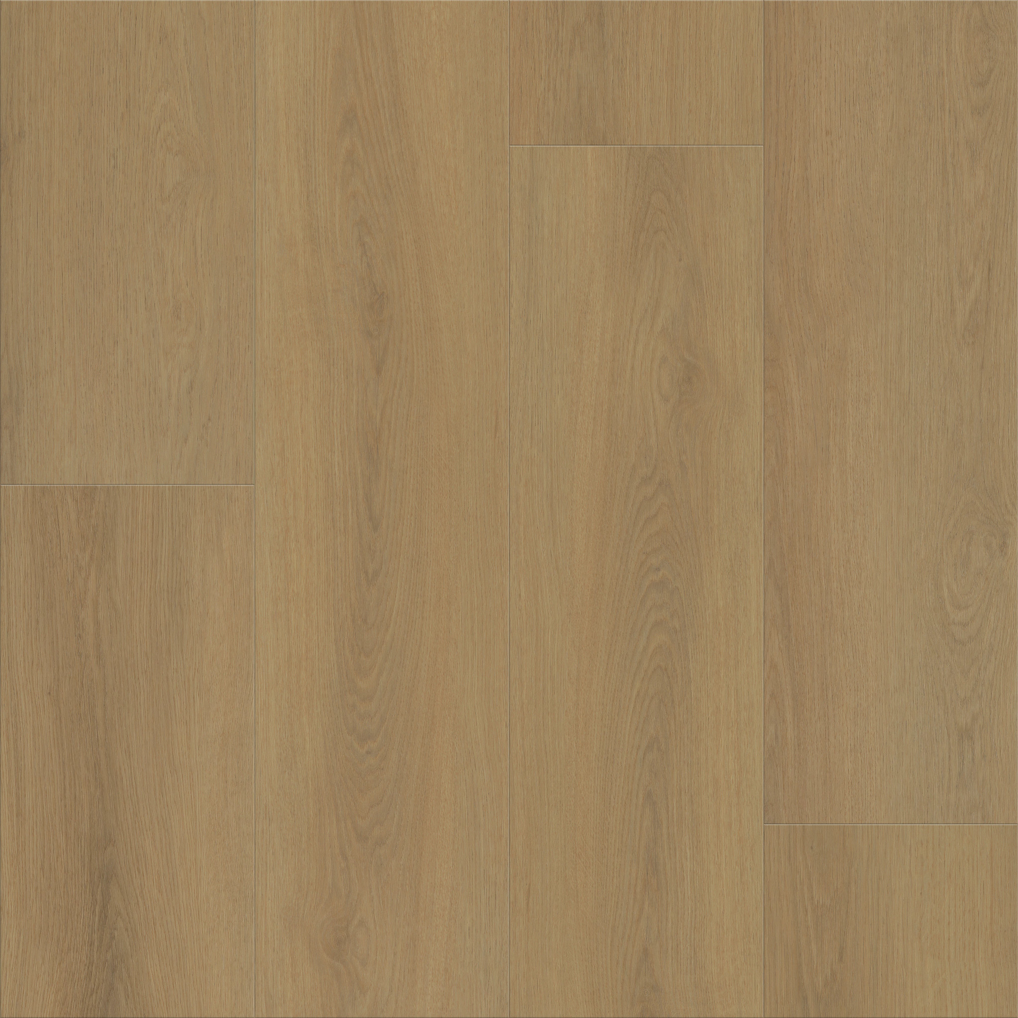 Home-Warm Honey-VE489_07327