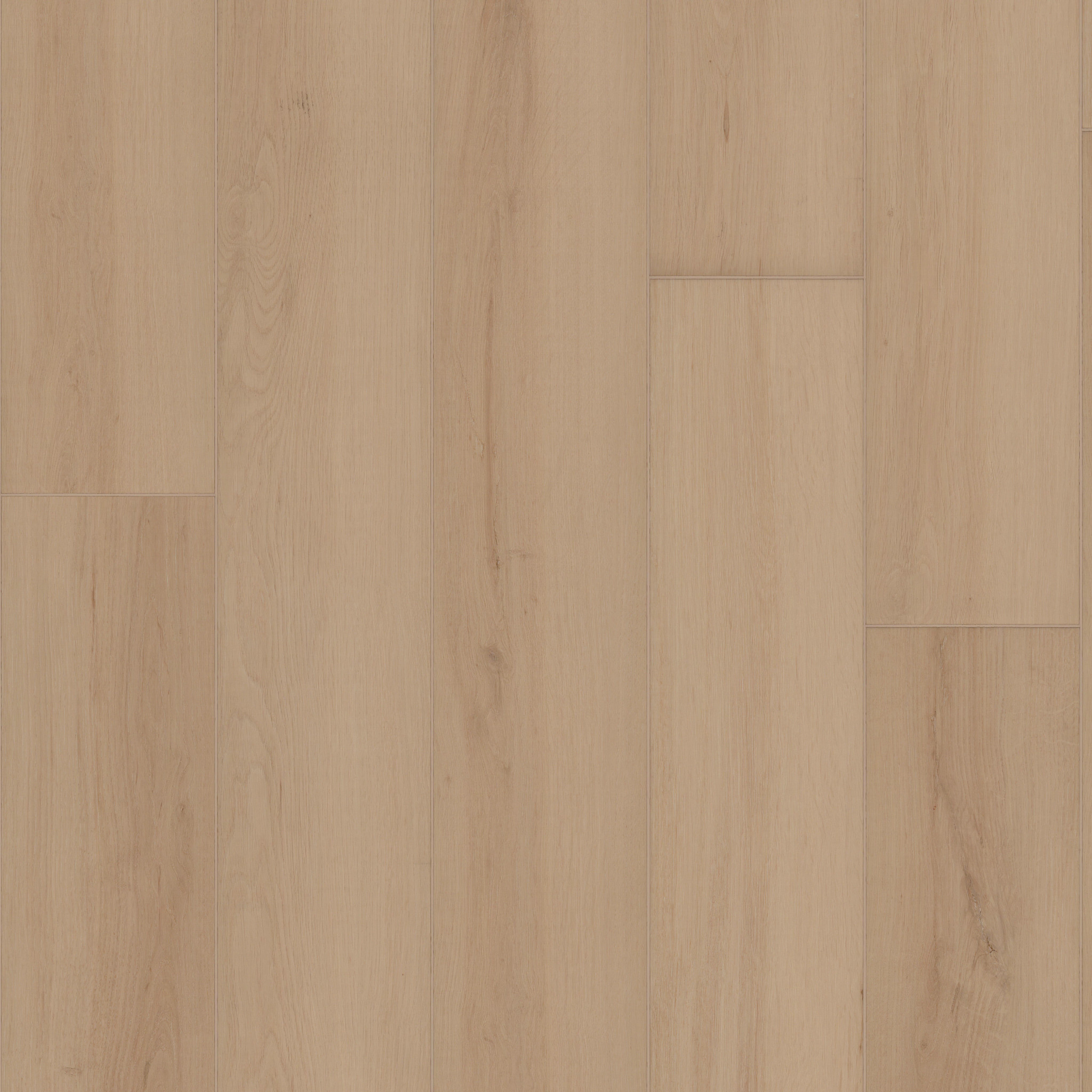 Radiant Living-Champagne-VE502_02126