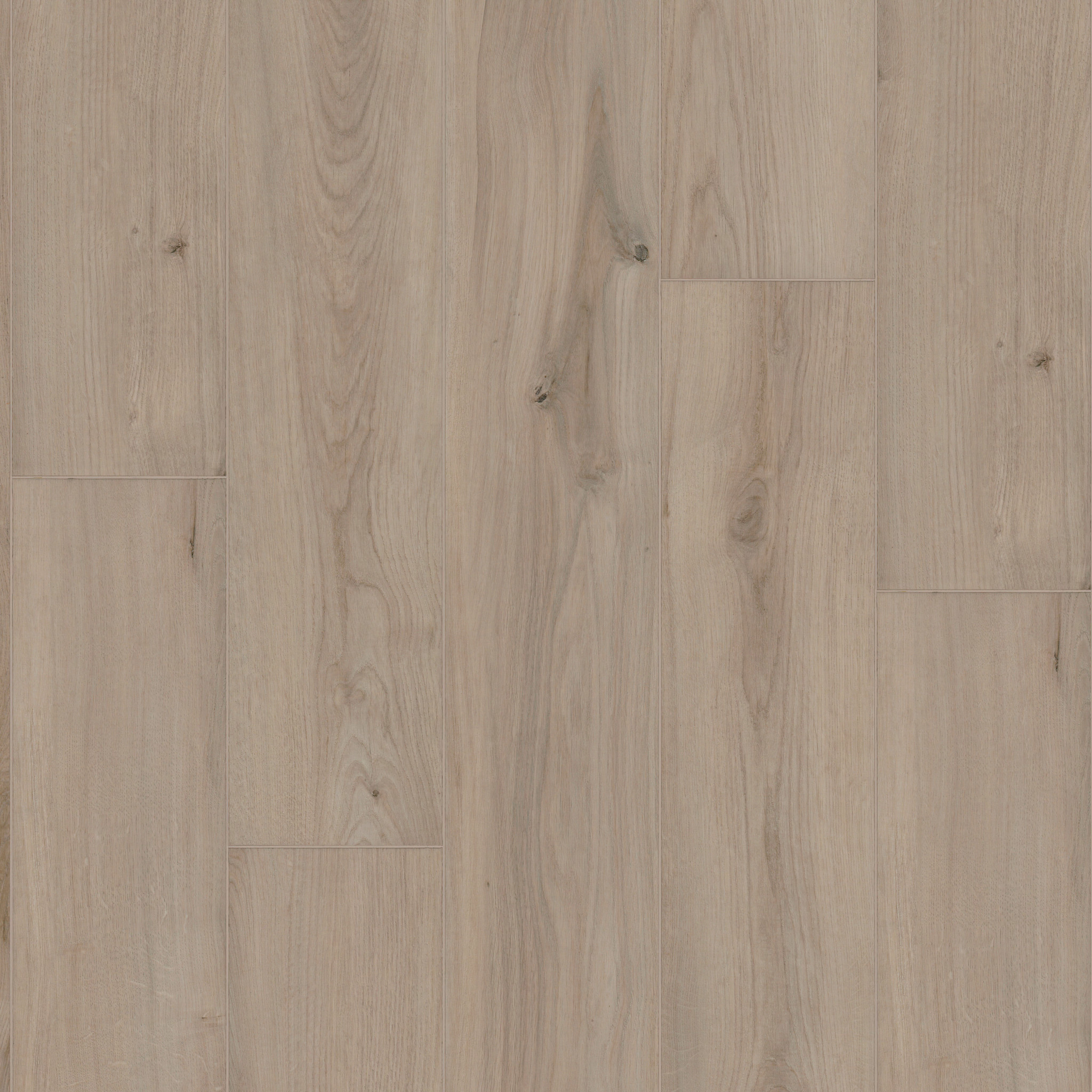 Radiant Living-Warm Sand-VE502_05254