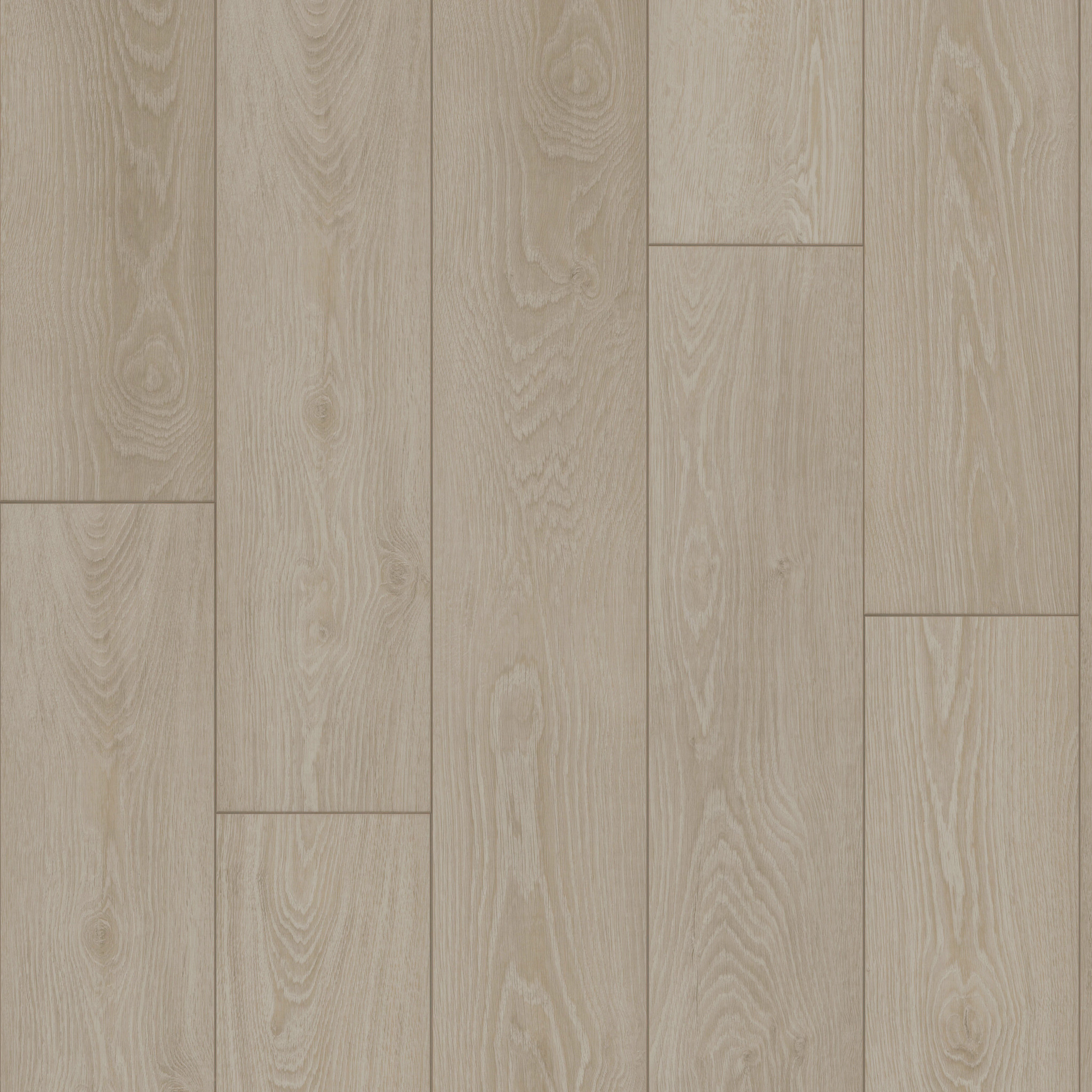 Radiant Living-Feather Grey-VE502_05256