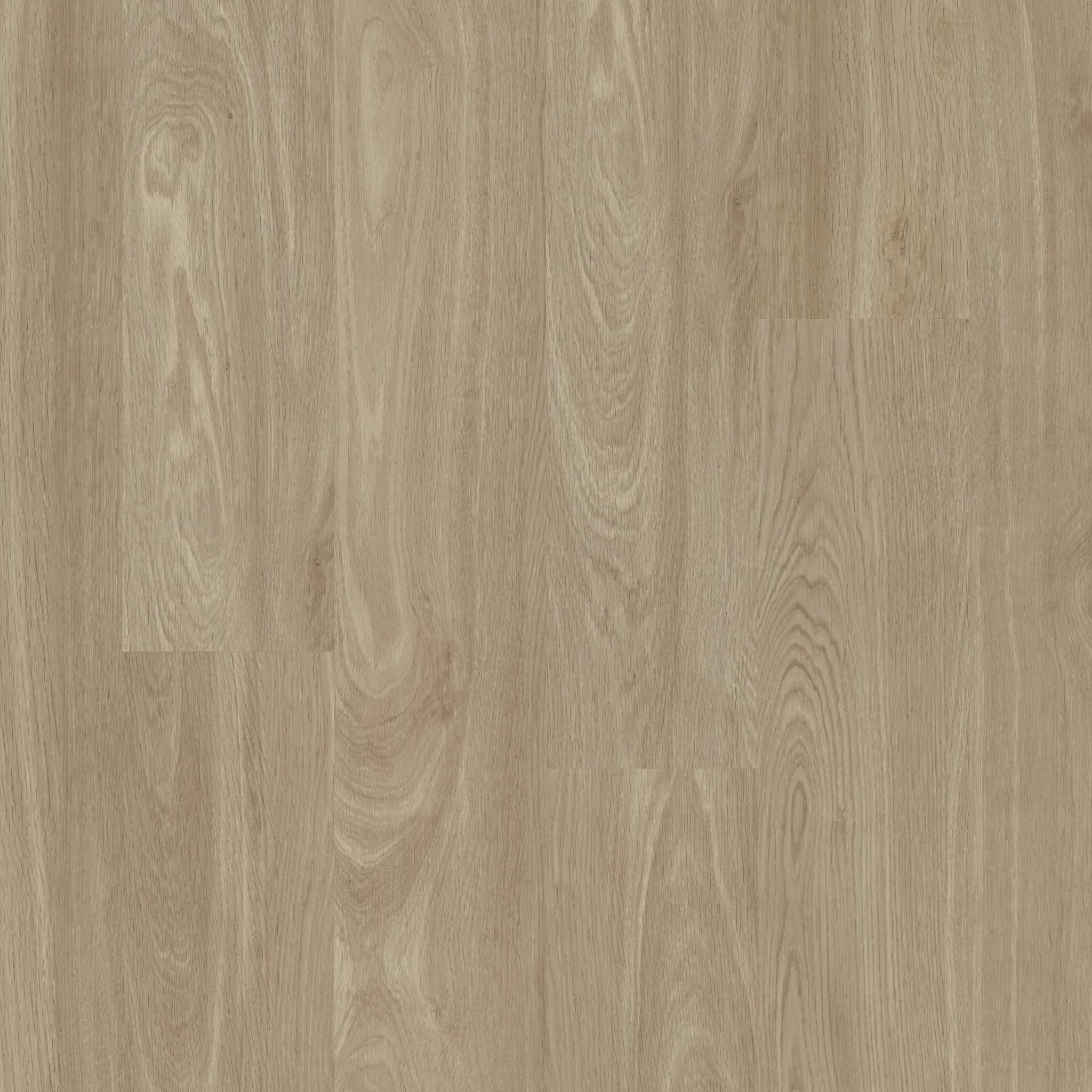 Catalyst 6 - Sandstone - VE503_01218