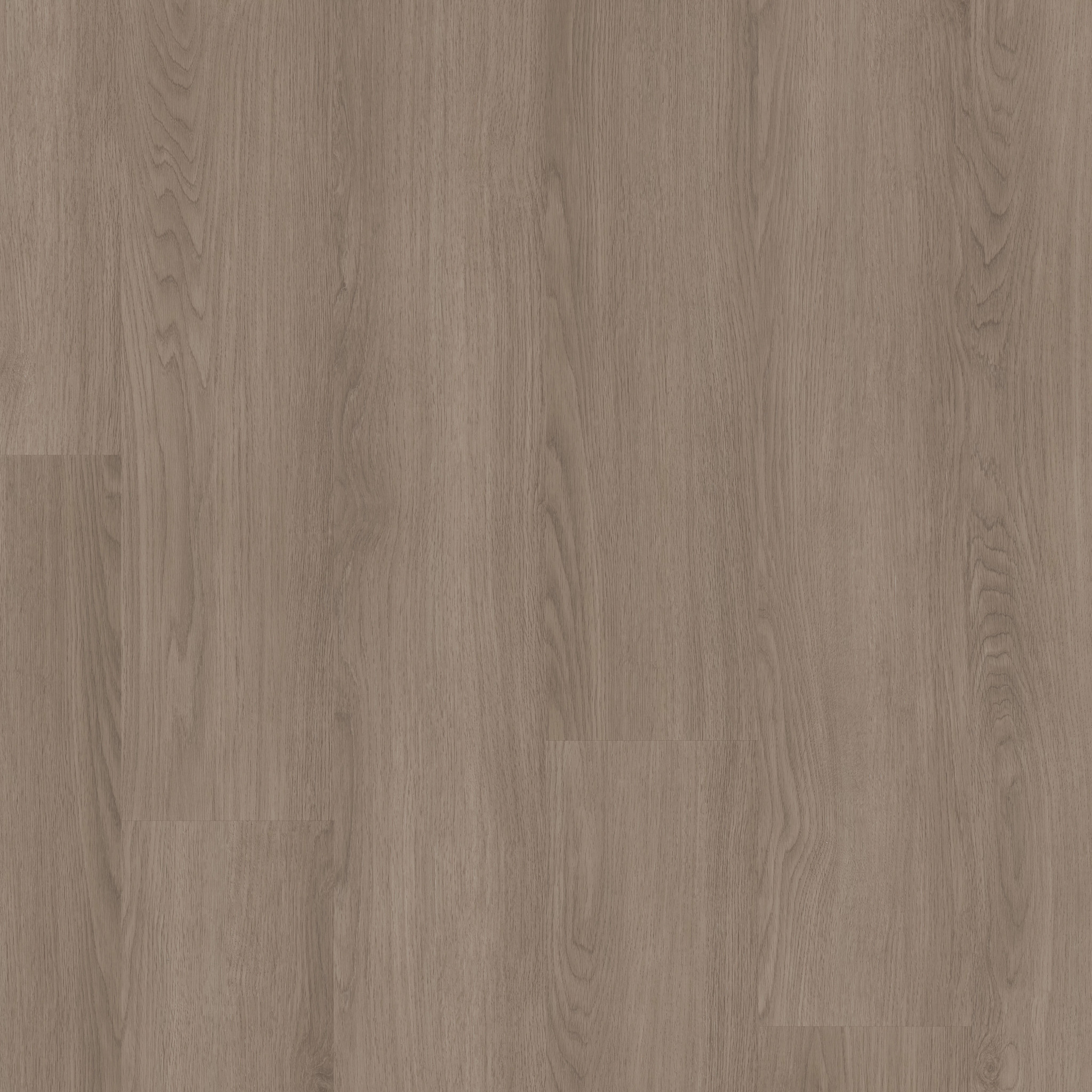 Catalyst 12-Timber-VE504_02130