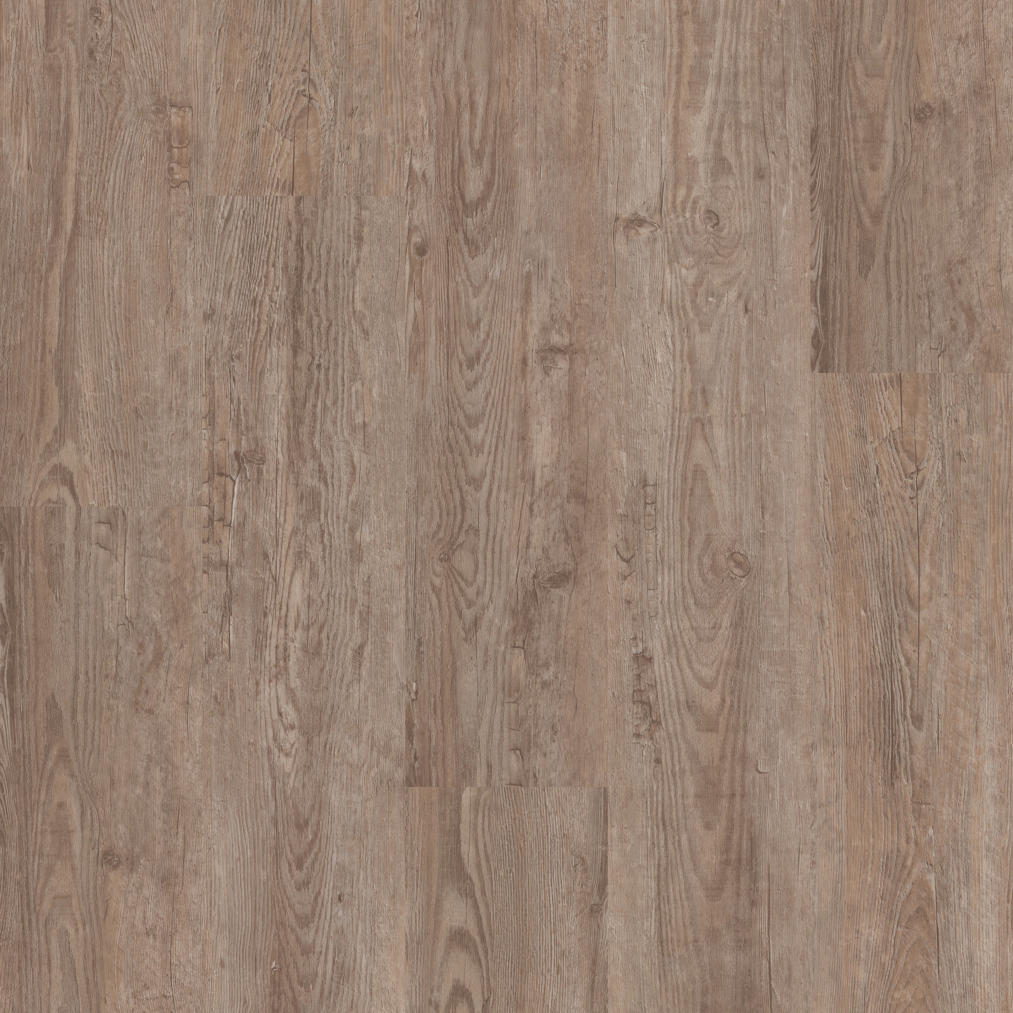 Catalyst 12-Clay-VE504_02144