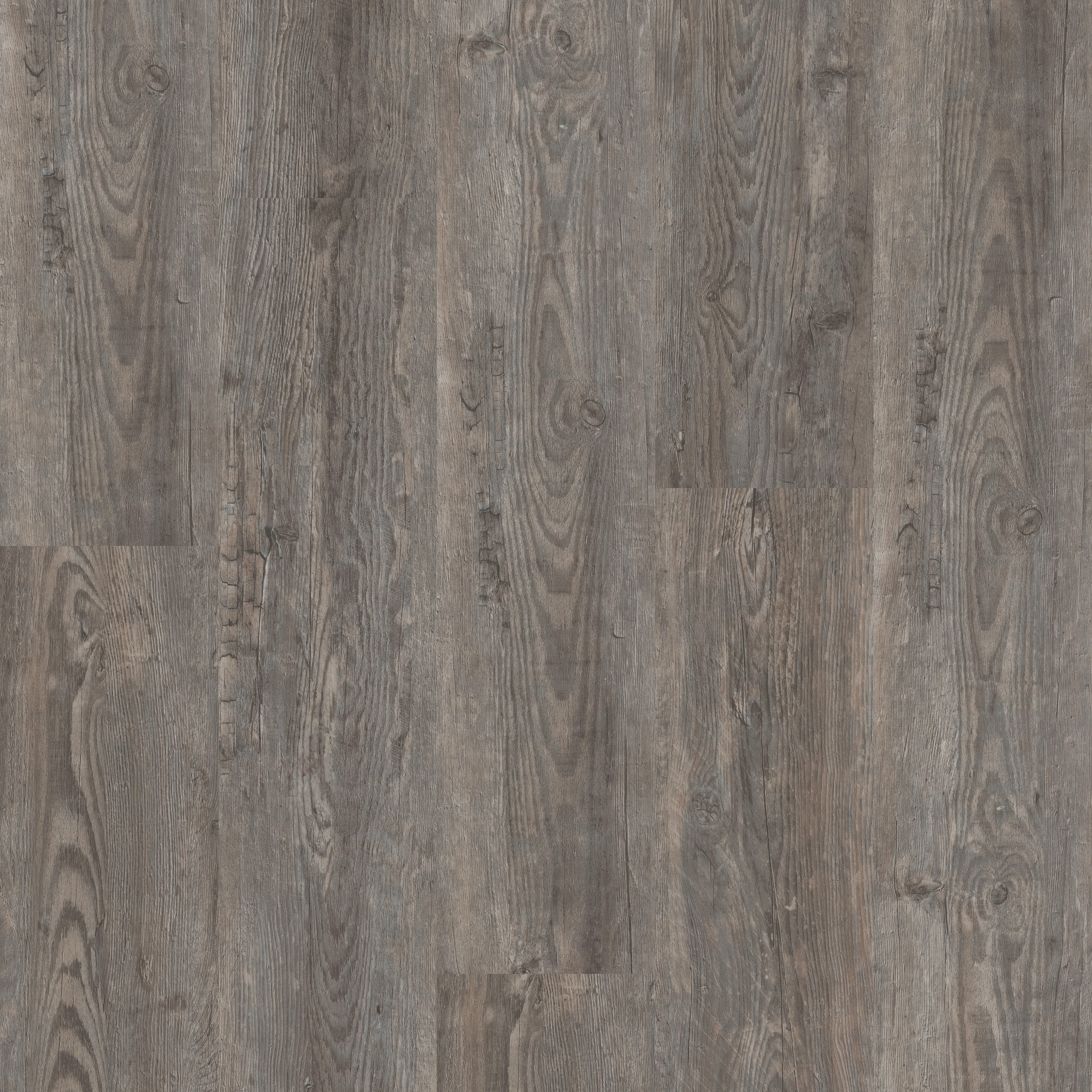 Catalyst 12-Slate-VE504_05280