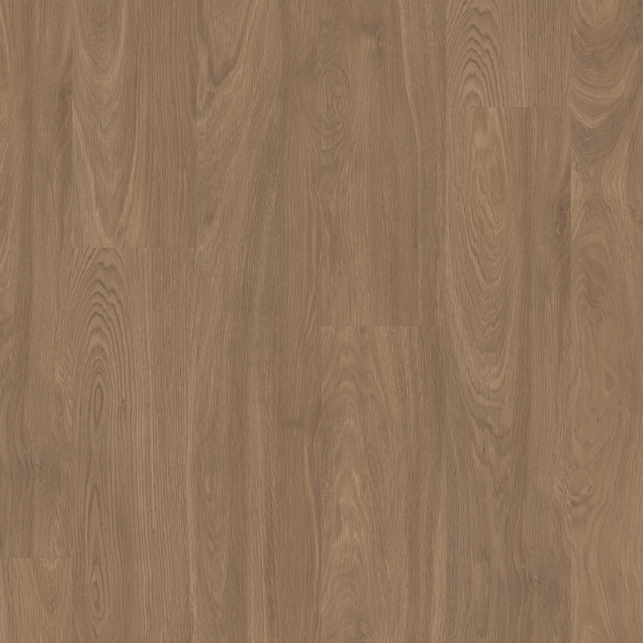 Catalyst 12-Ember-VE504_06053