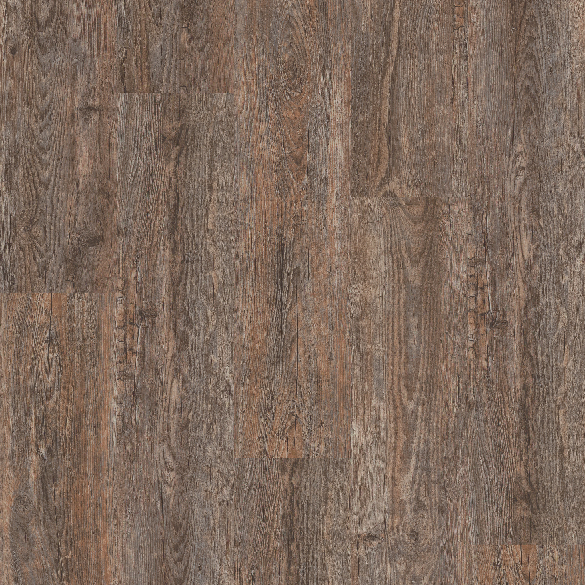 Catalyst 12-Firewood-VE504_07371